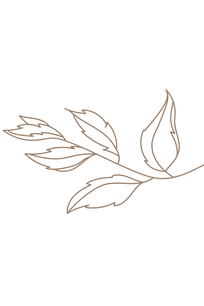 Line drawing of a branch with six leaves on a black background.