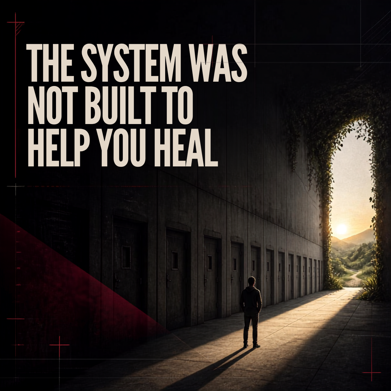 The System Was Not Built to Help You Heal