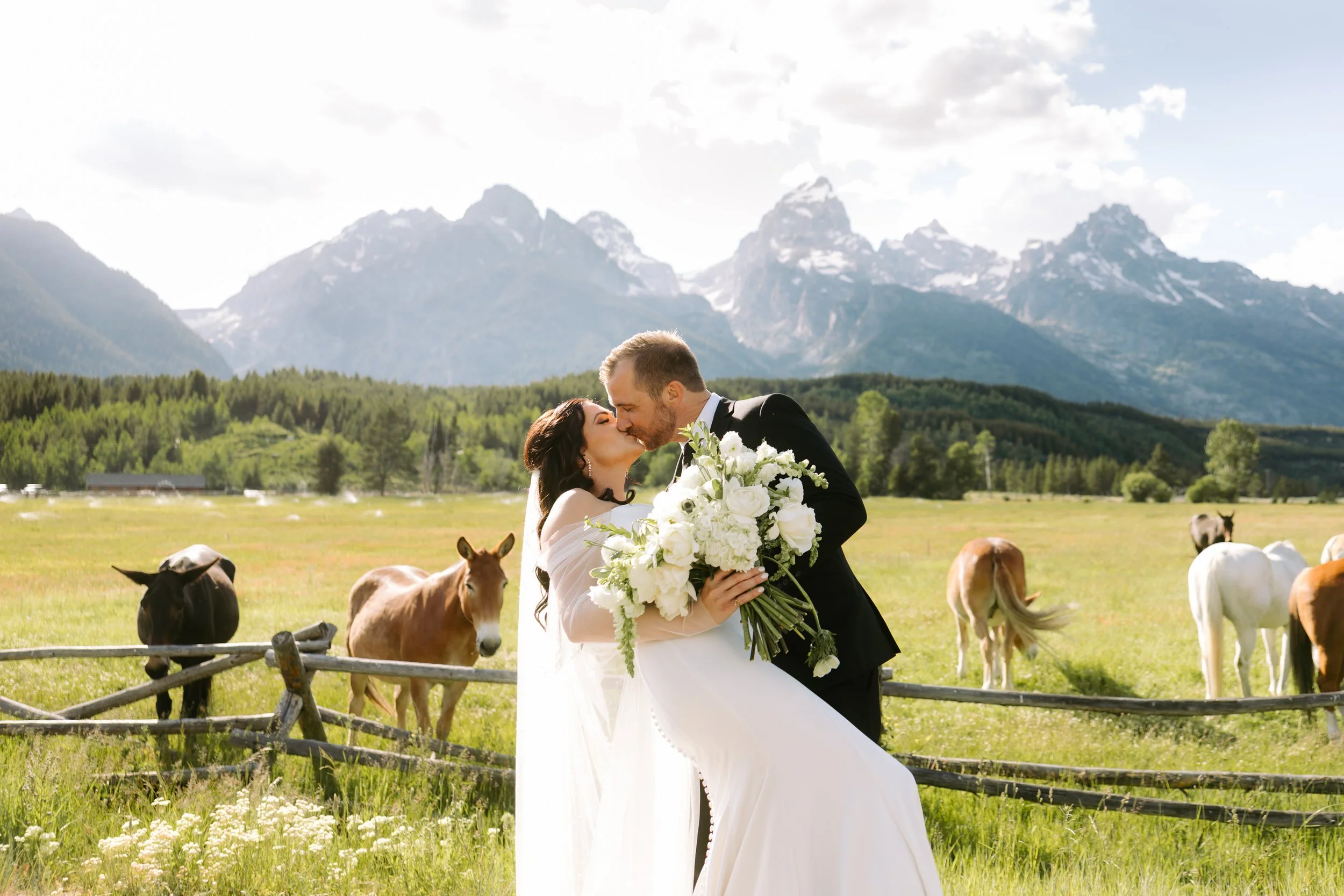 OliviaandJeff-4.jpg