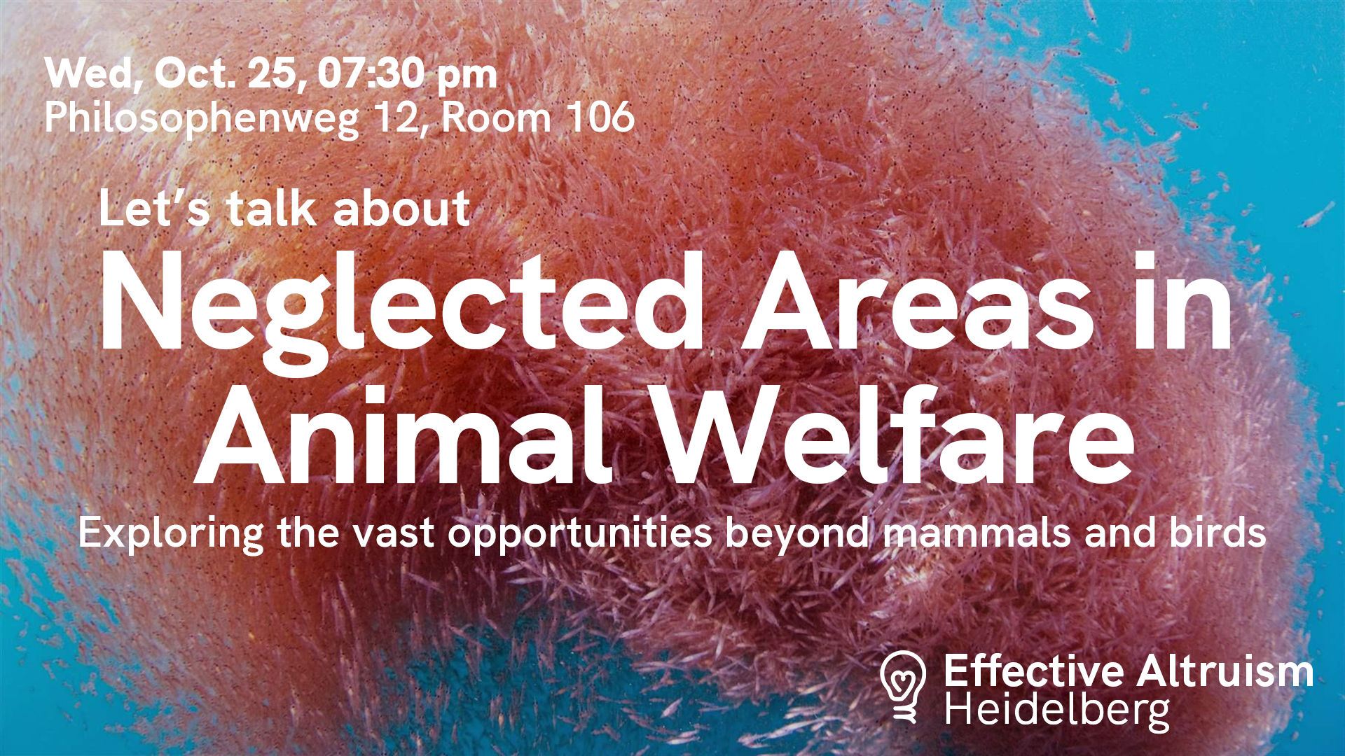 Neglected Areas in Animal Welfare - Banner.png