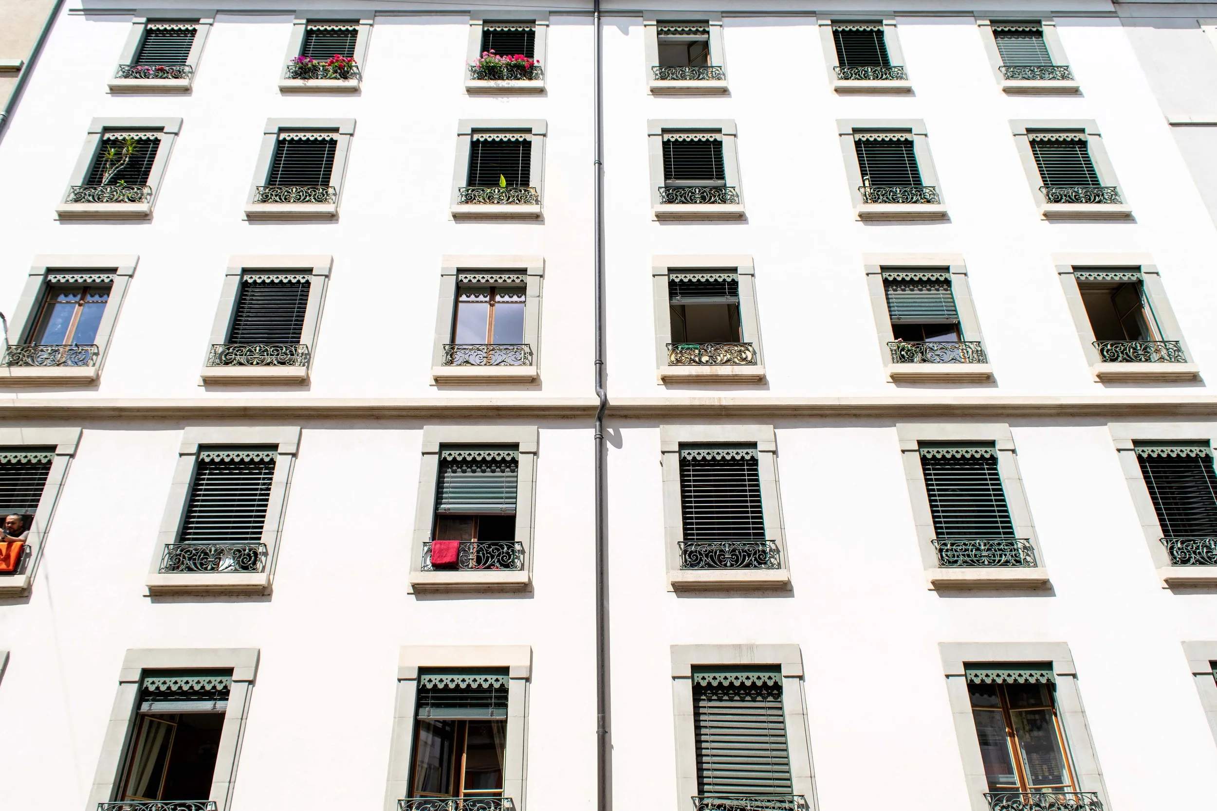 Geneva Windows.jpg