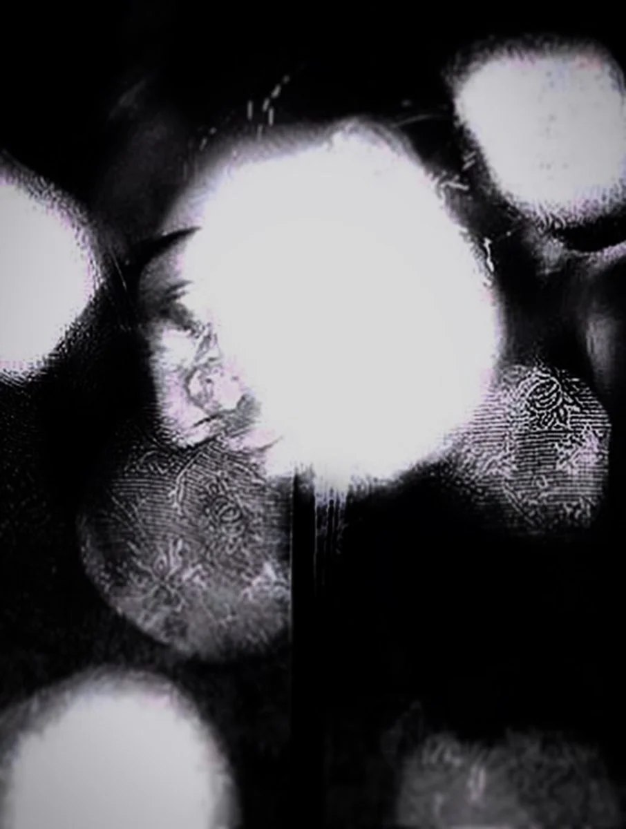 42342424.jpg