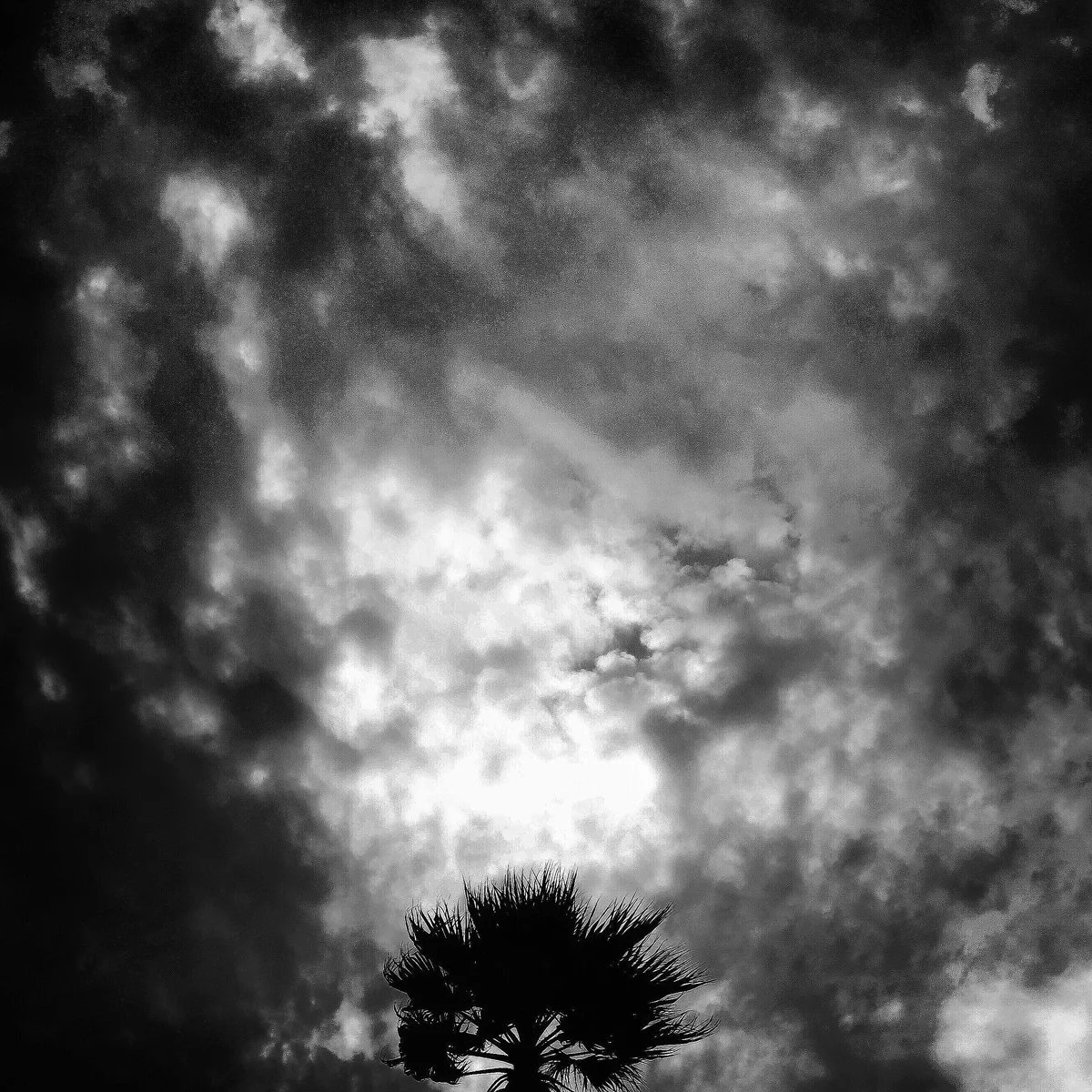 IMG_0231 copy 2.jpg