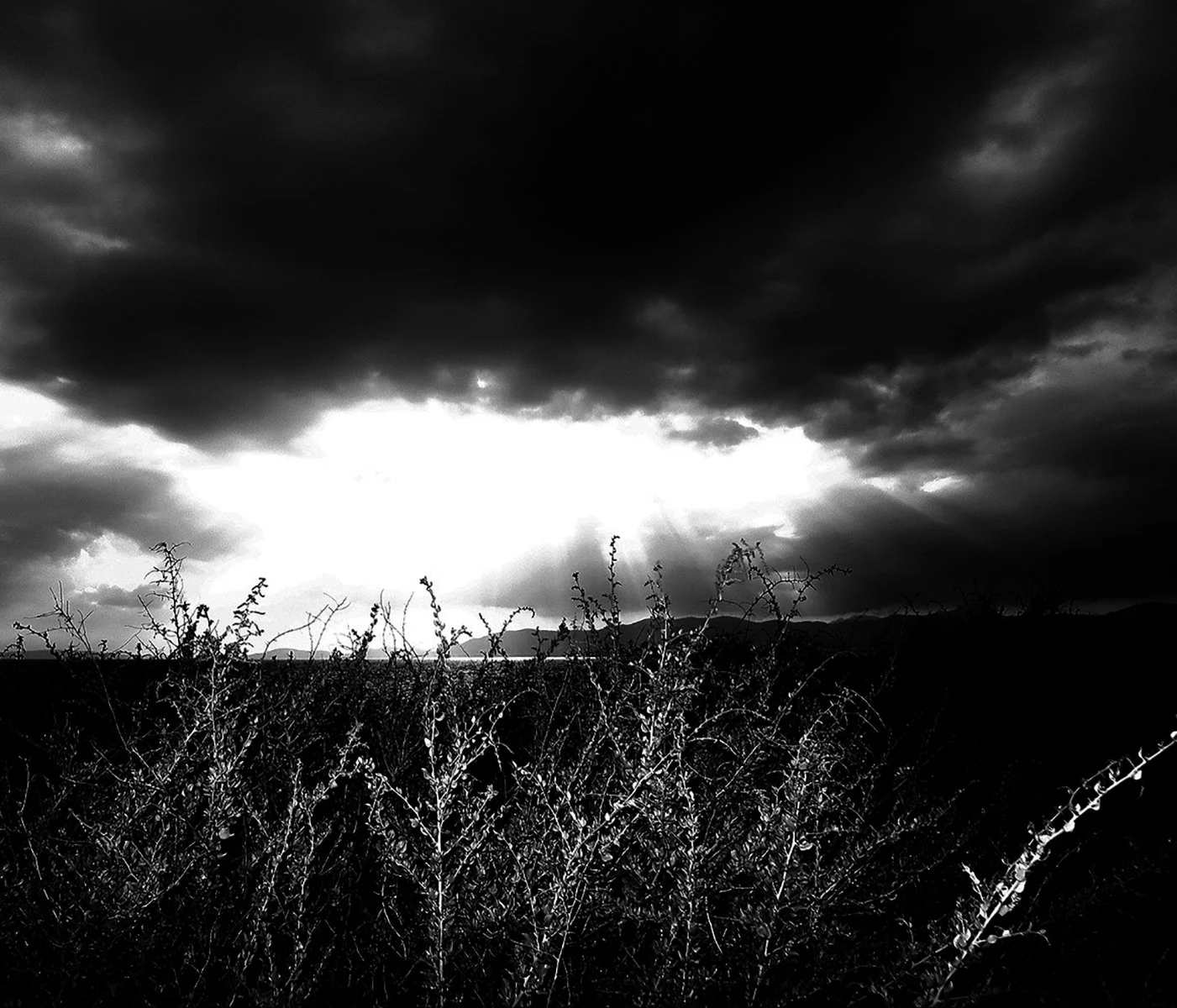 IMG_1613 copy 2.jpg