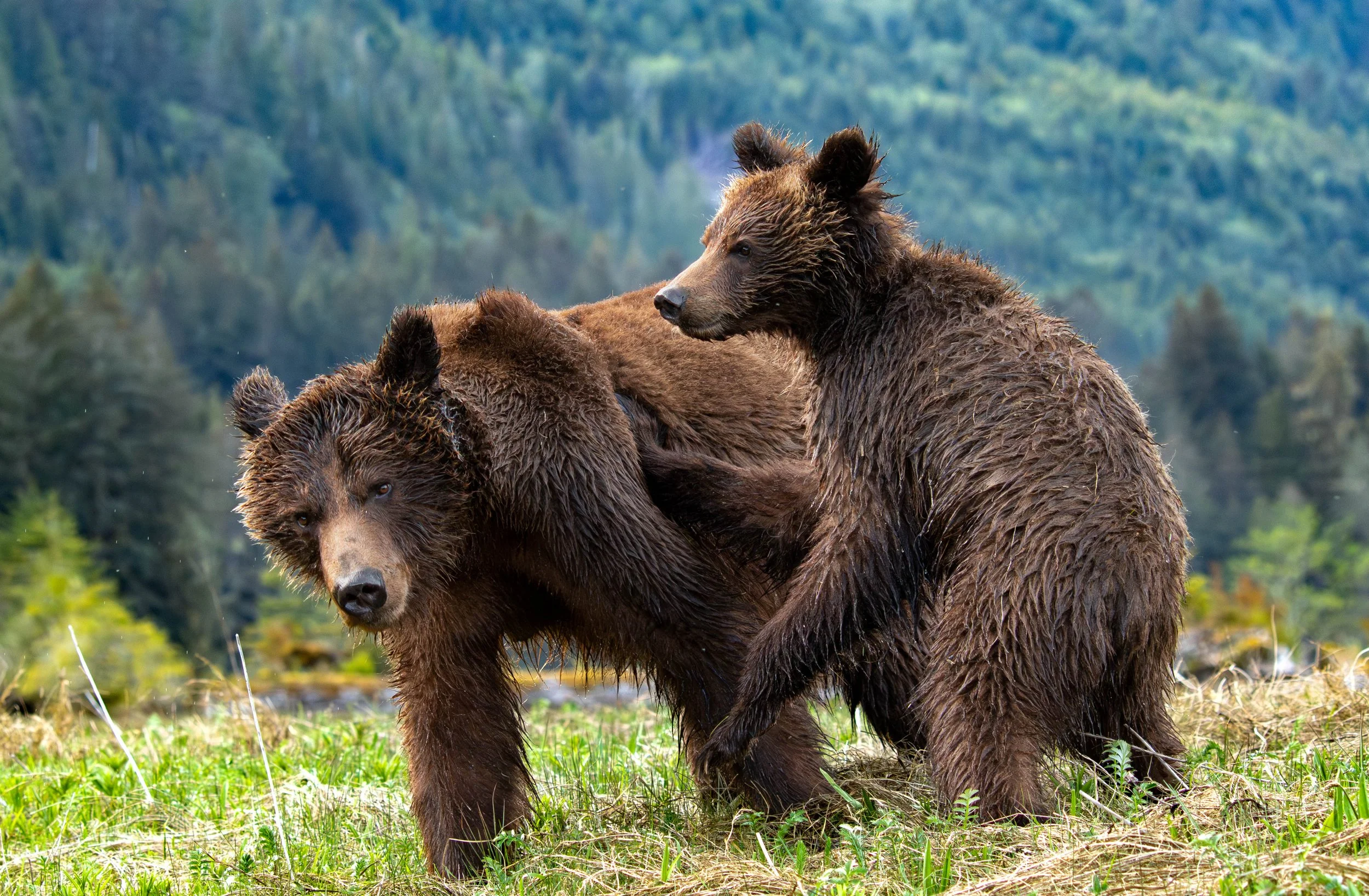 172A6316-Enhanced-NR copy.jpg