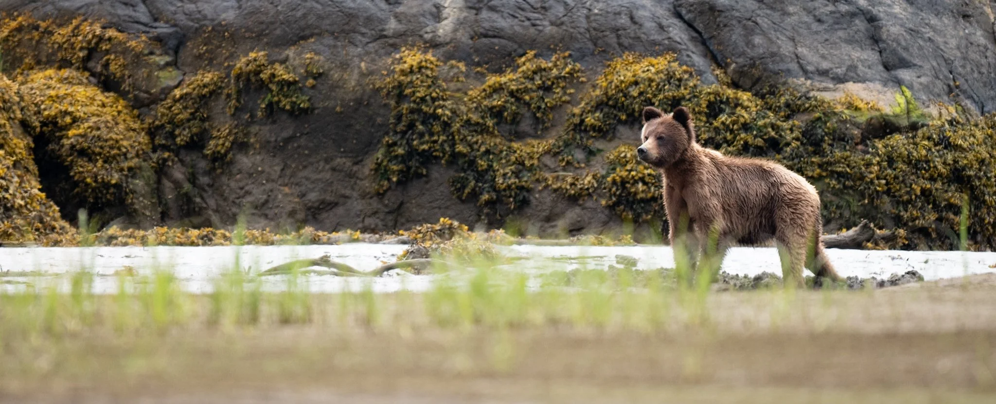 Shared from Lightroom mobile (1).jpg