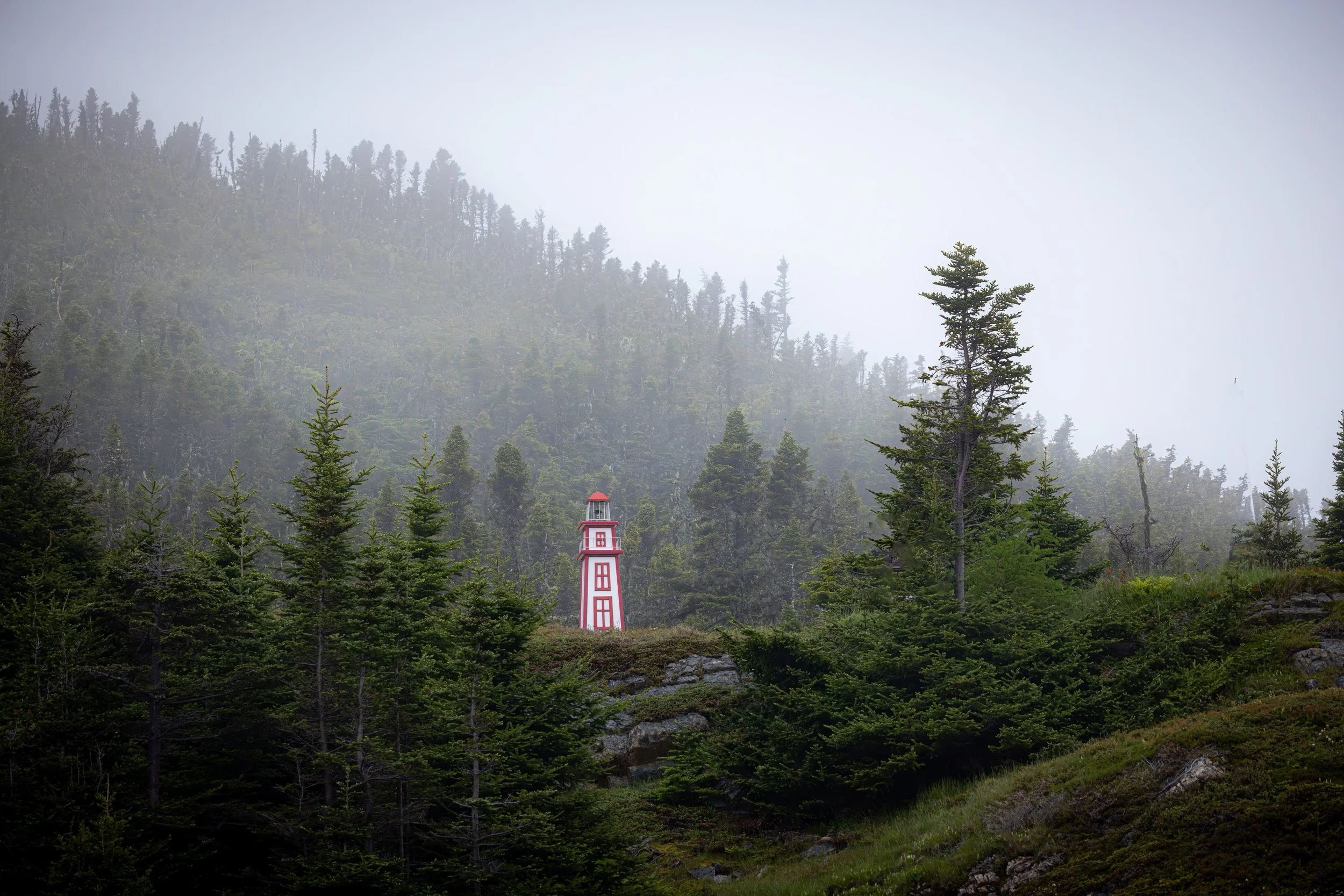 456A9917-Enhanced-NR.jpg