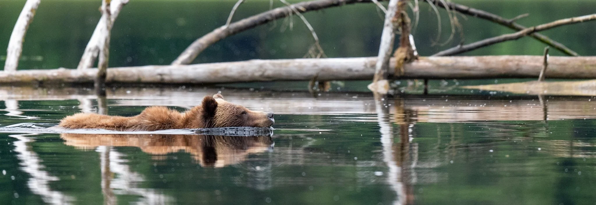 Shared from Lightroom mobile.jpg