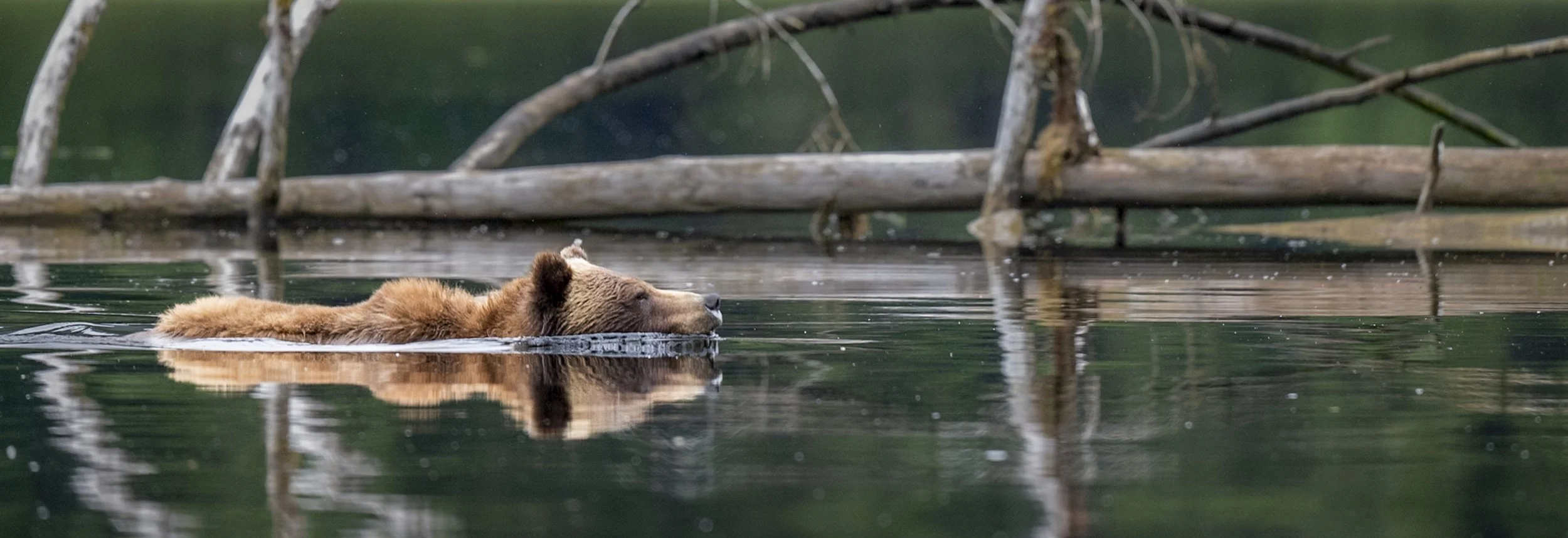 Shared from Lightroom mobile.jpg