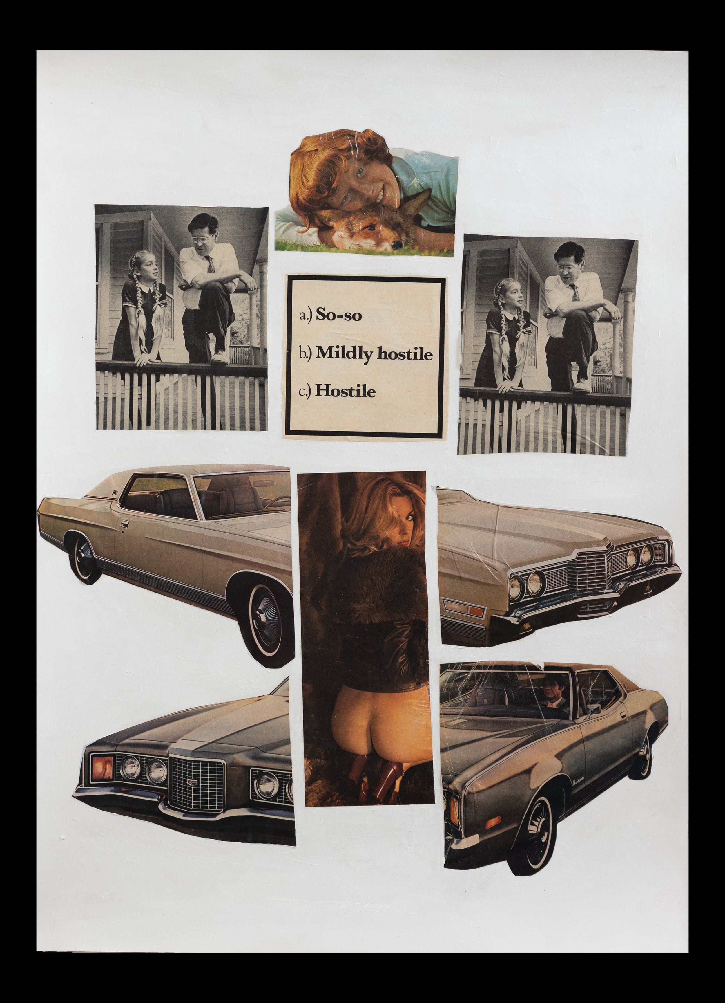 COLLAGE 22 x 30