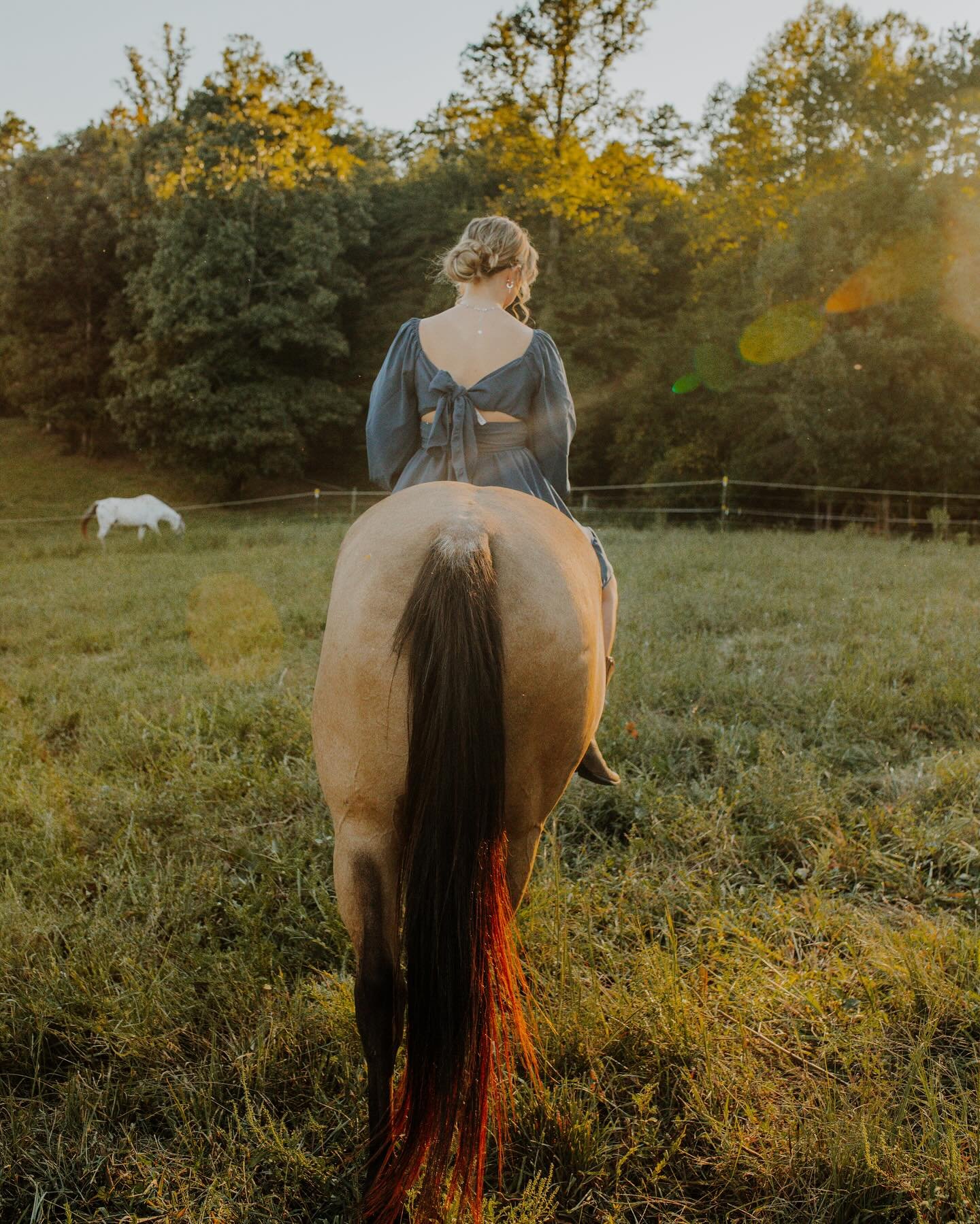 📸 + 🎞️ = 💛
Digital vs Film. Which do you prefer?
#film #filmphotography #filmdeveloping #photoshoot #equinephotography #horsephotoshoot #photography