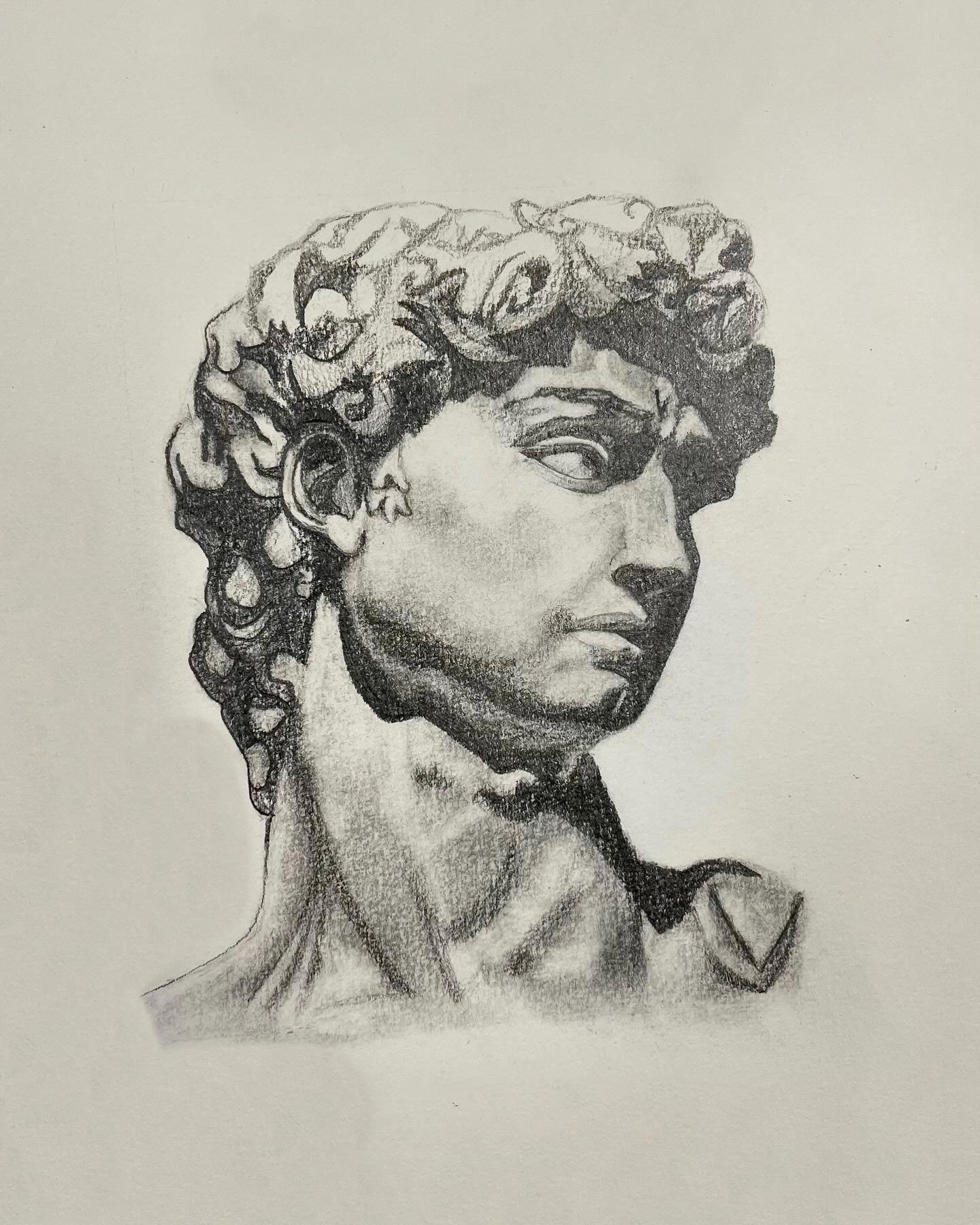 Head Cast Rendering
Swipe to draw from start to finish with me!
Cast Drawing has been a paramount exercise for artists wishing to learn to draw for centuries. It combines both the experience of drawing anatomical structures along with the developmen