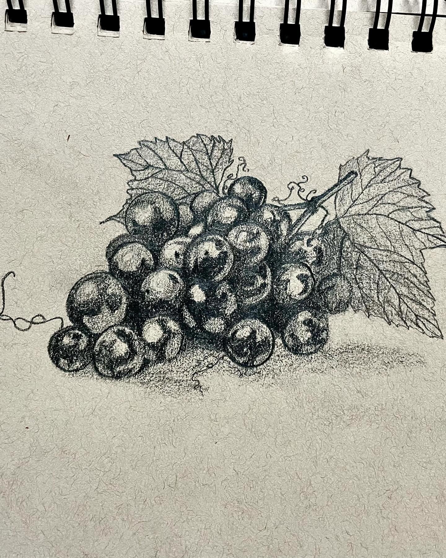 🍇
#grapes🍇 #drawingsketch #fruitsketch #drawing