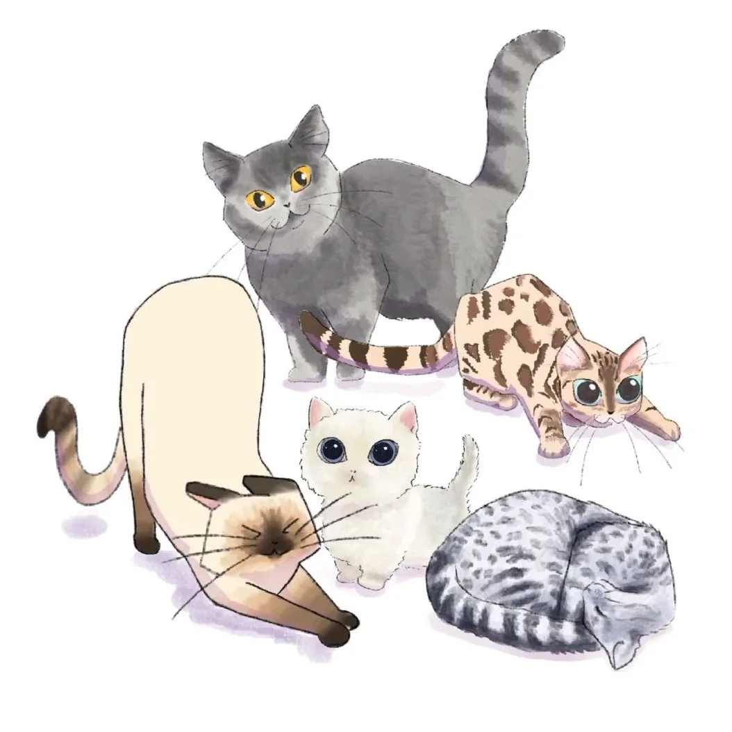 cat+rescue.jpg