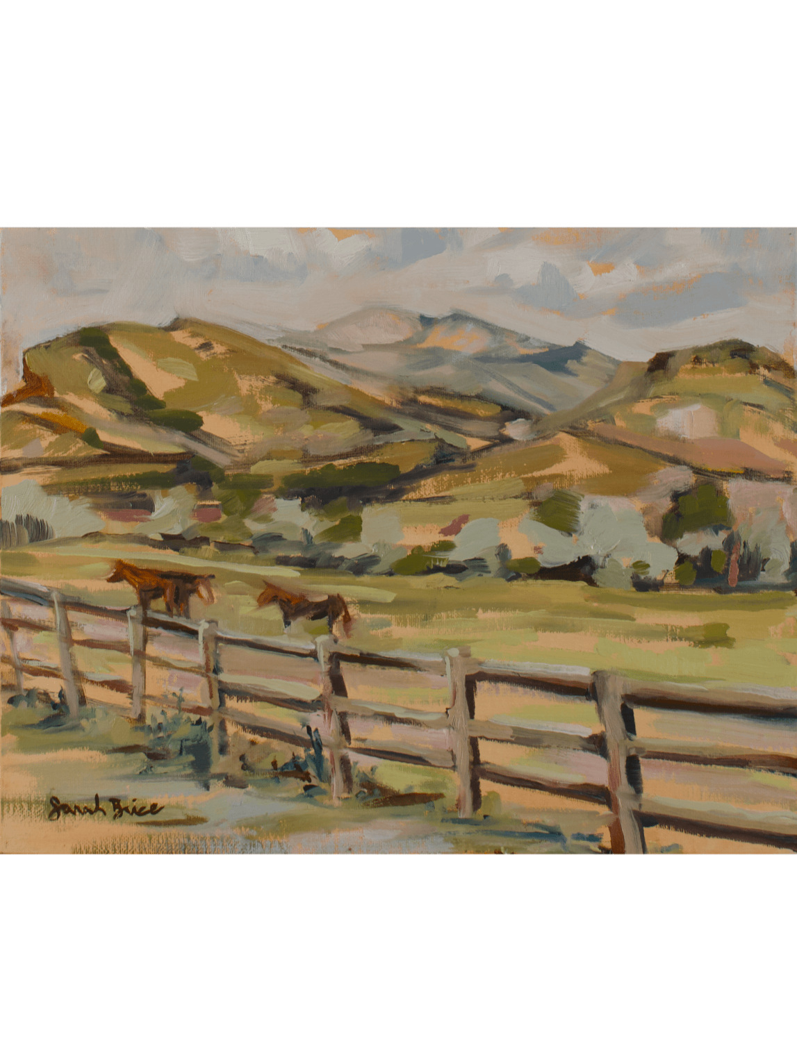 072026HorseField@0.5x.gif
