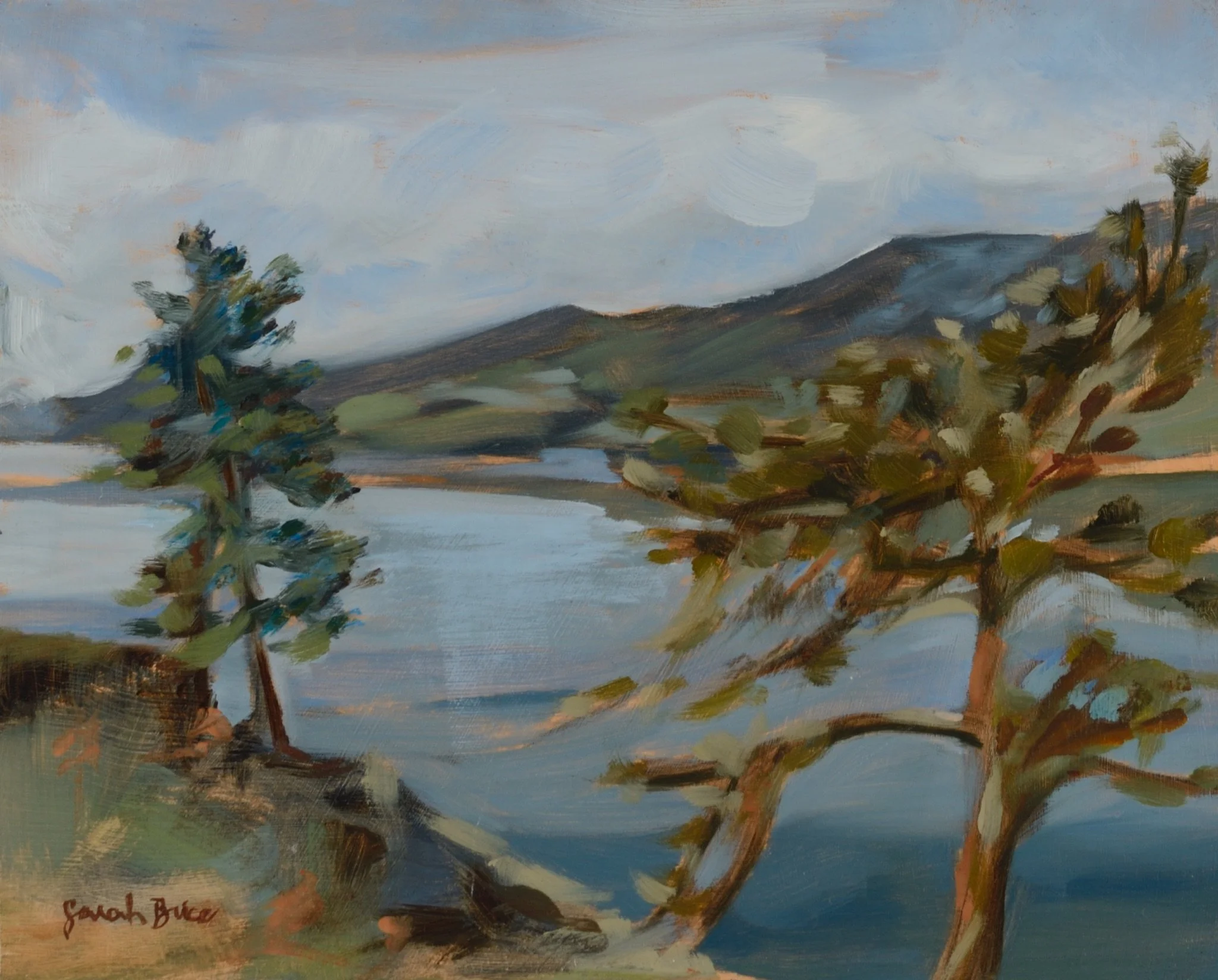 Horsetooth