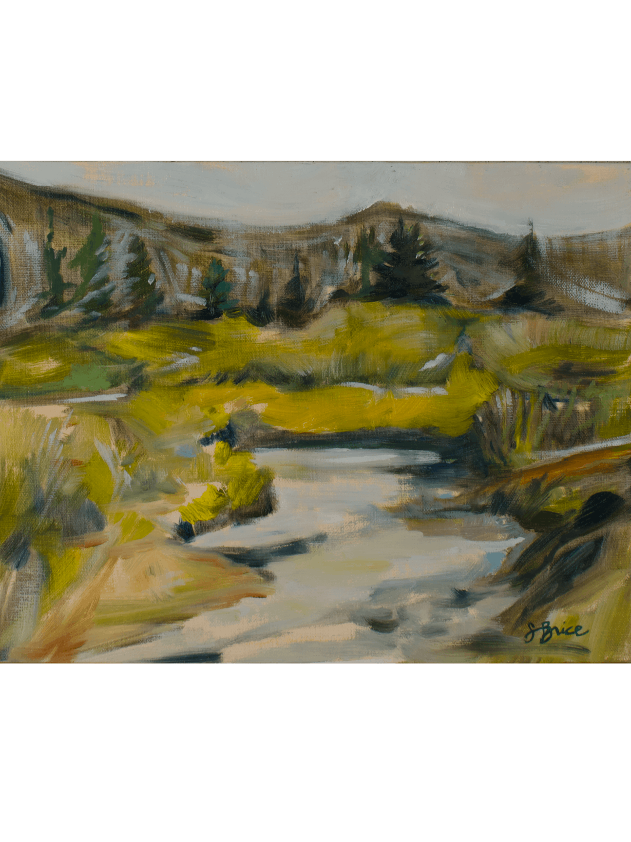 072026CampingonLaramieRoad@0.5x.gif