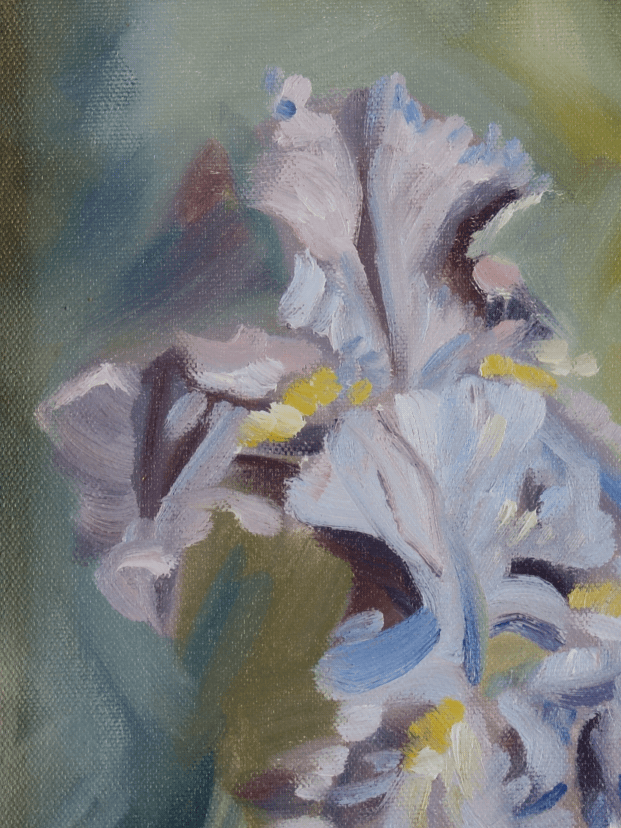 3202605Iris@0.5x.gif
