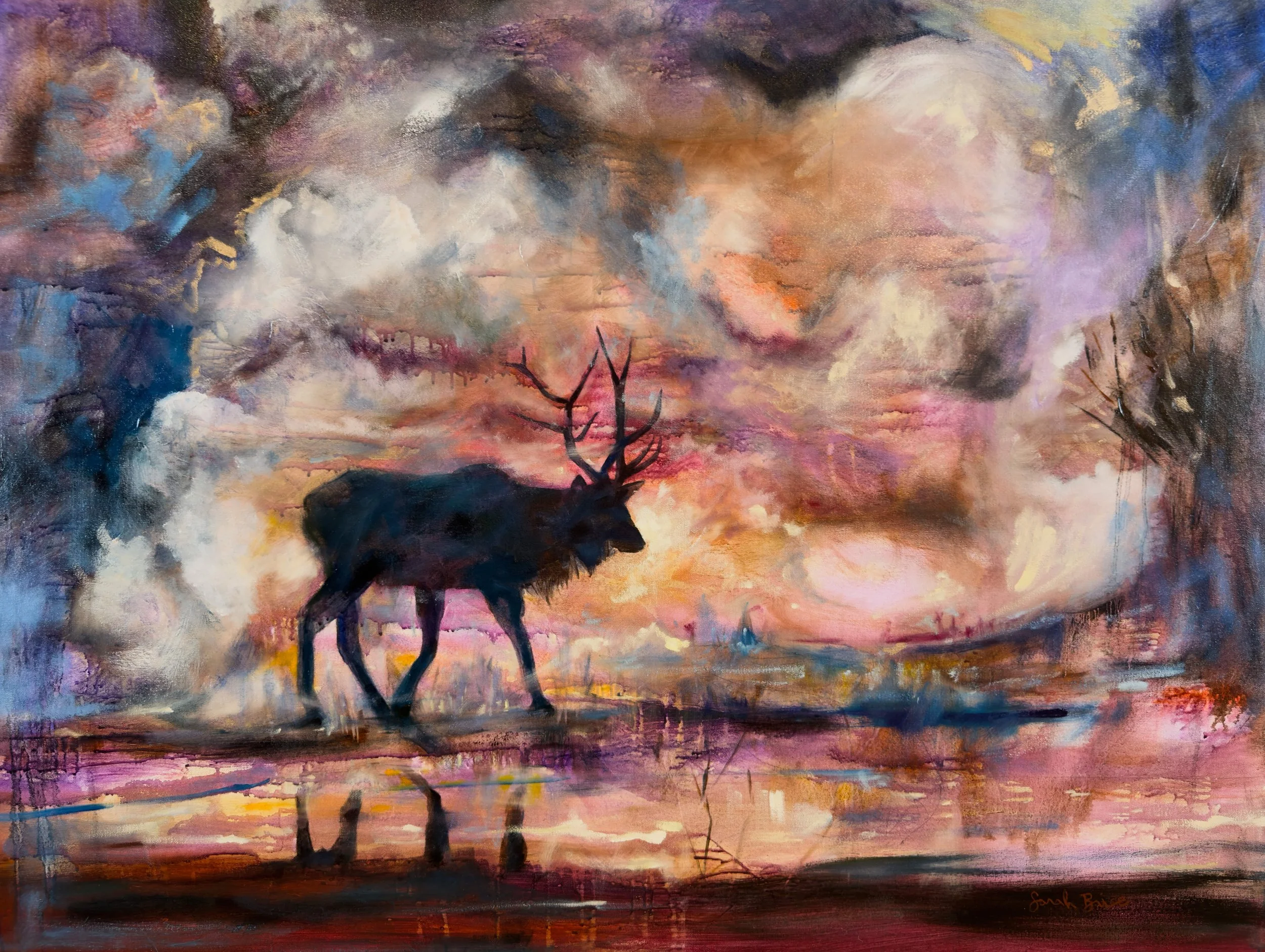 Elks Life No1 - Mist Rises