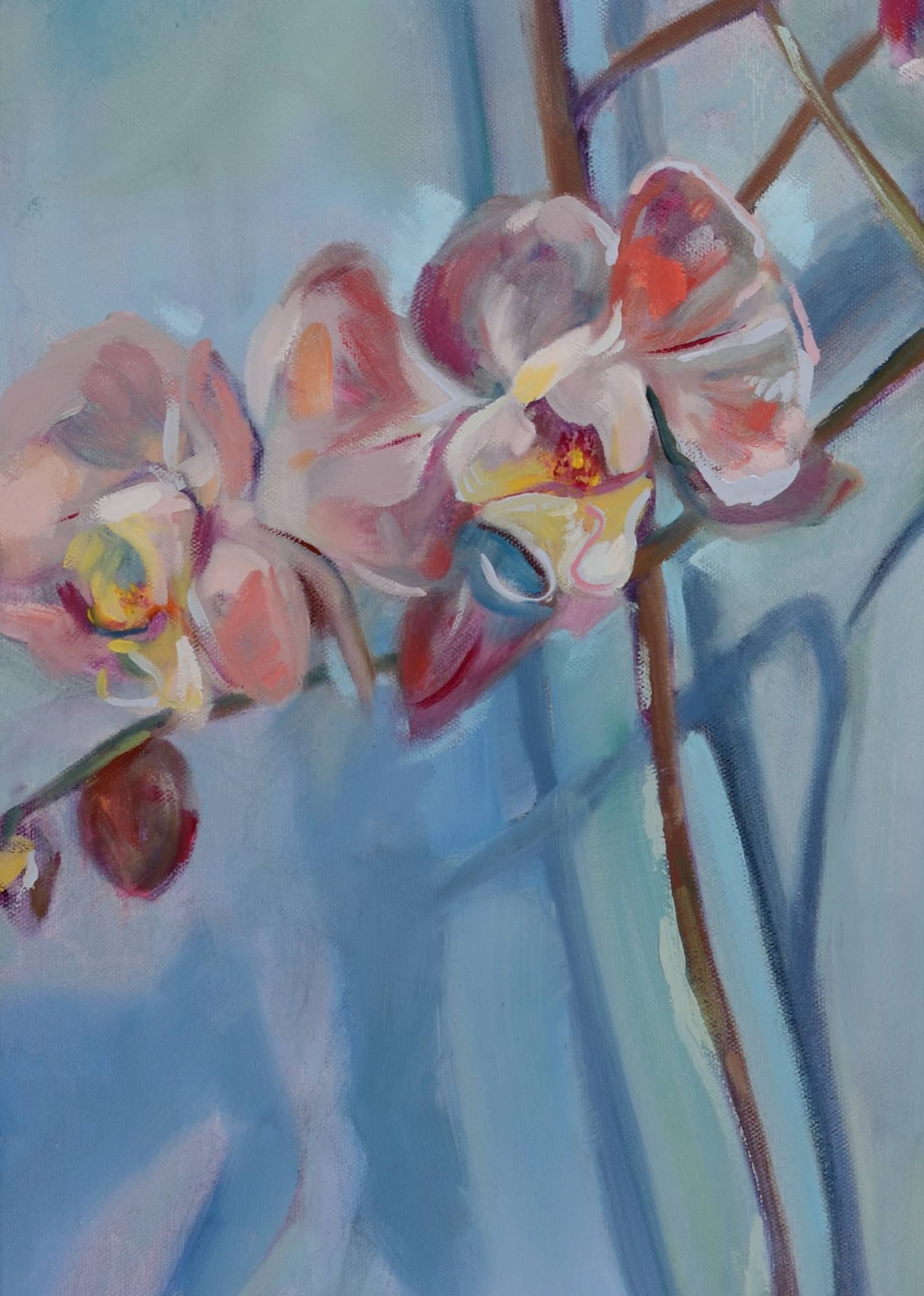 202604-5AlwaysinBloom30x243.jpg