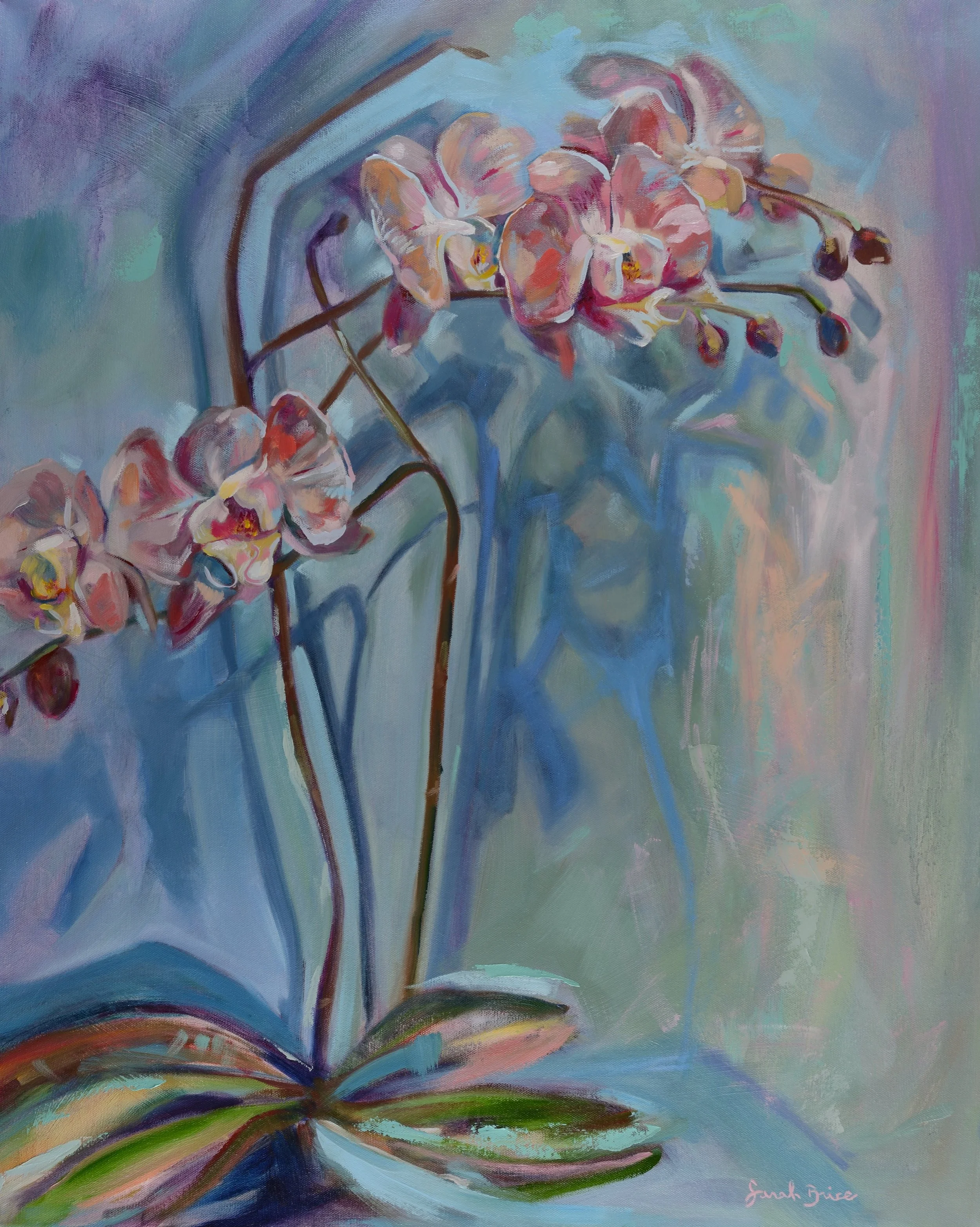 OrchidShadow.jpg