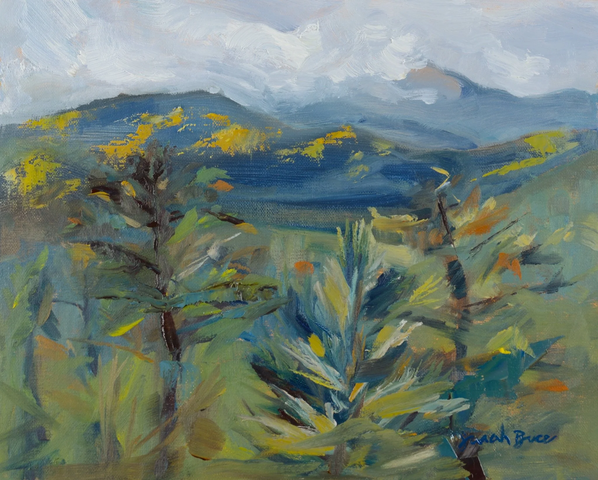 20260925BeyondtheTrees8x10_PRINT.jpg