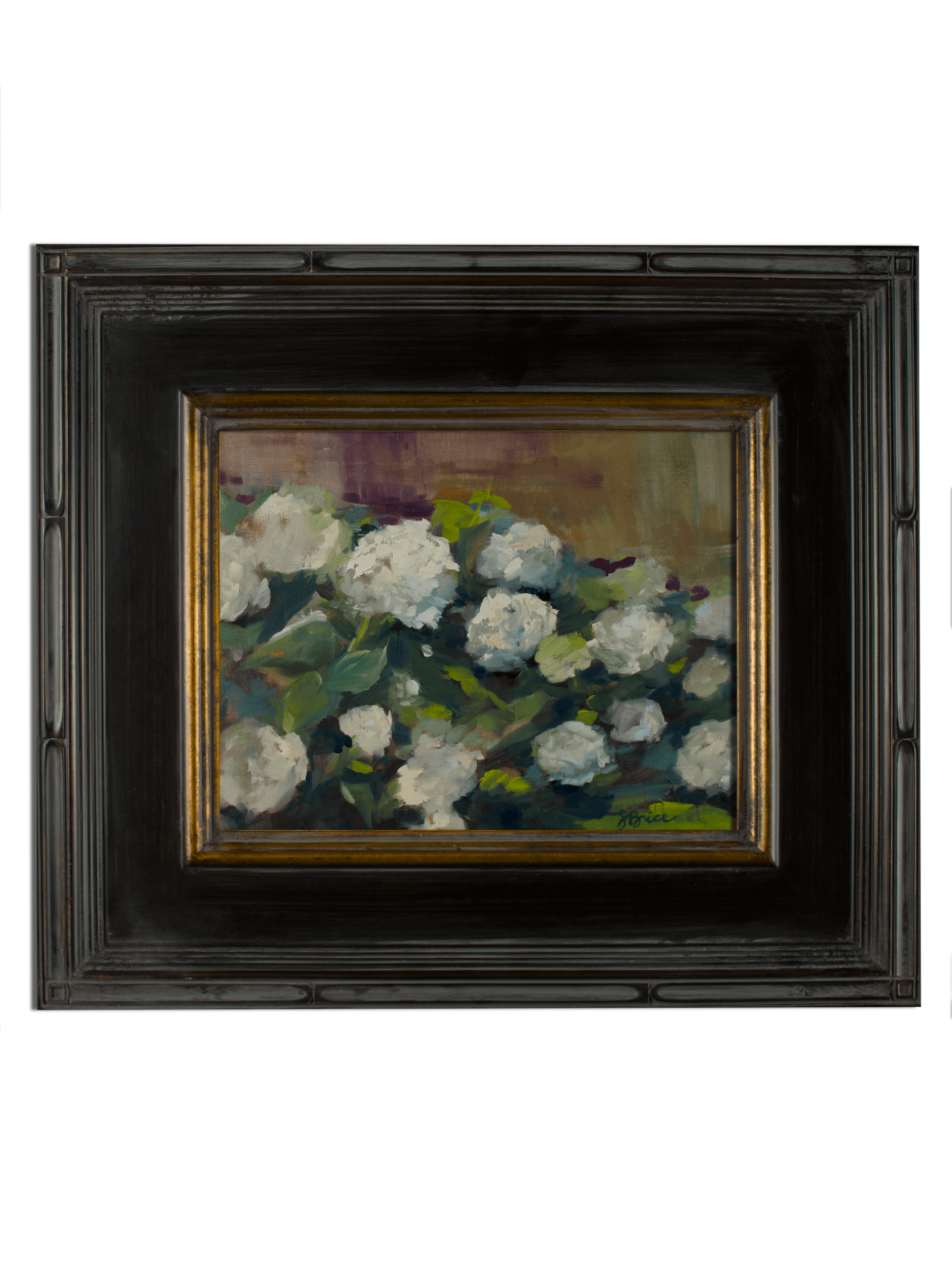 hydrangea01HorizonalBlackFrame@0.5x.gif