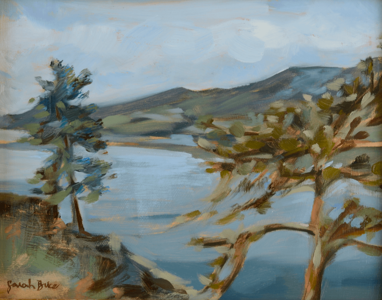3202606Horsetooth@0.5x.gif