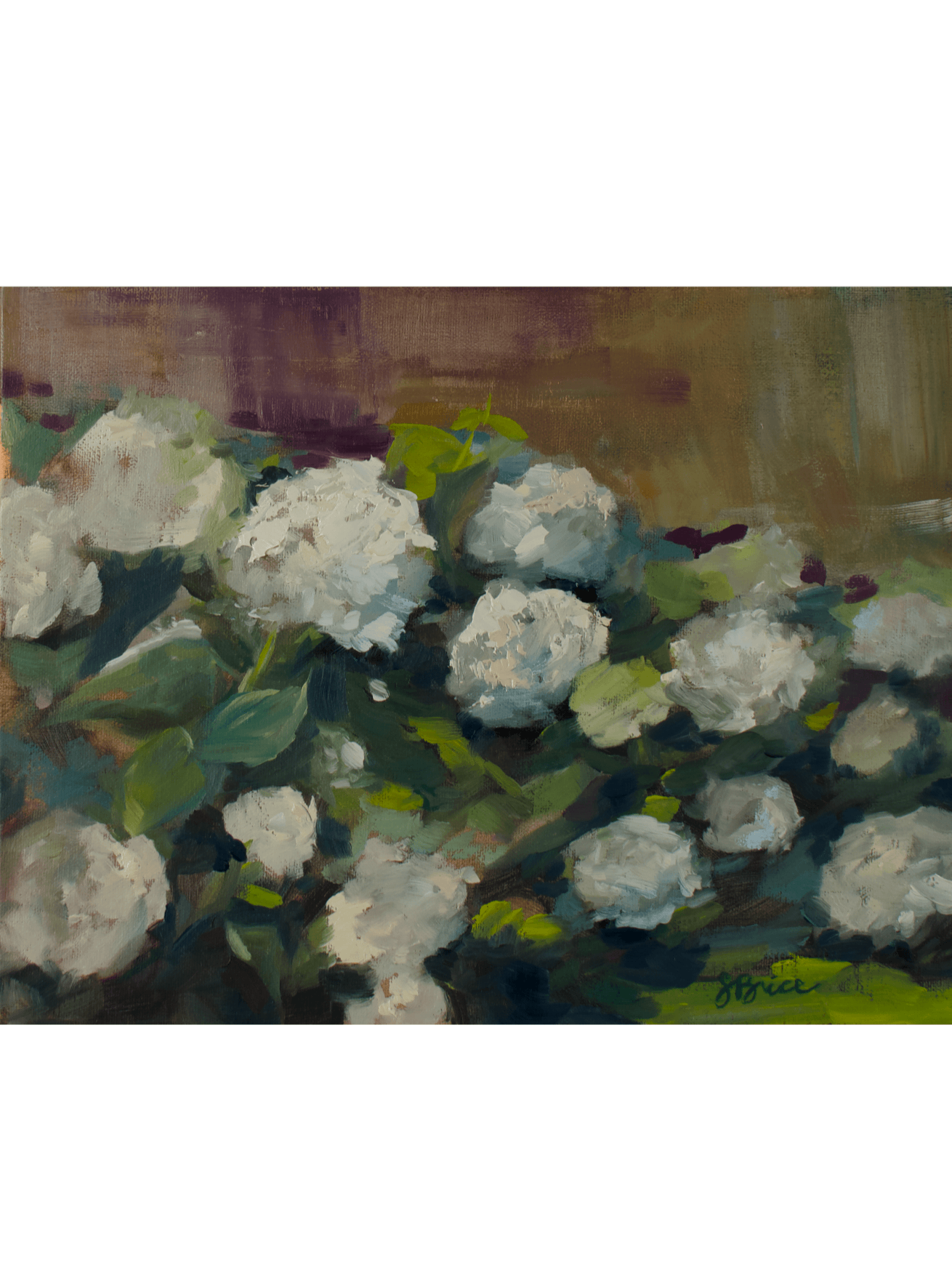 hydrangea@0.5x.gif