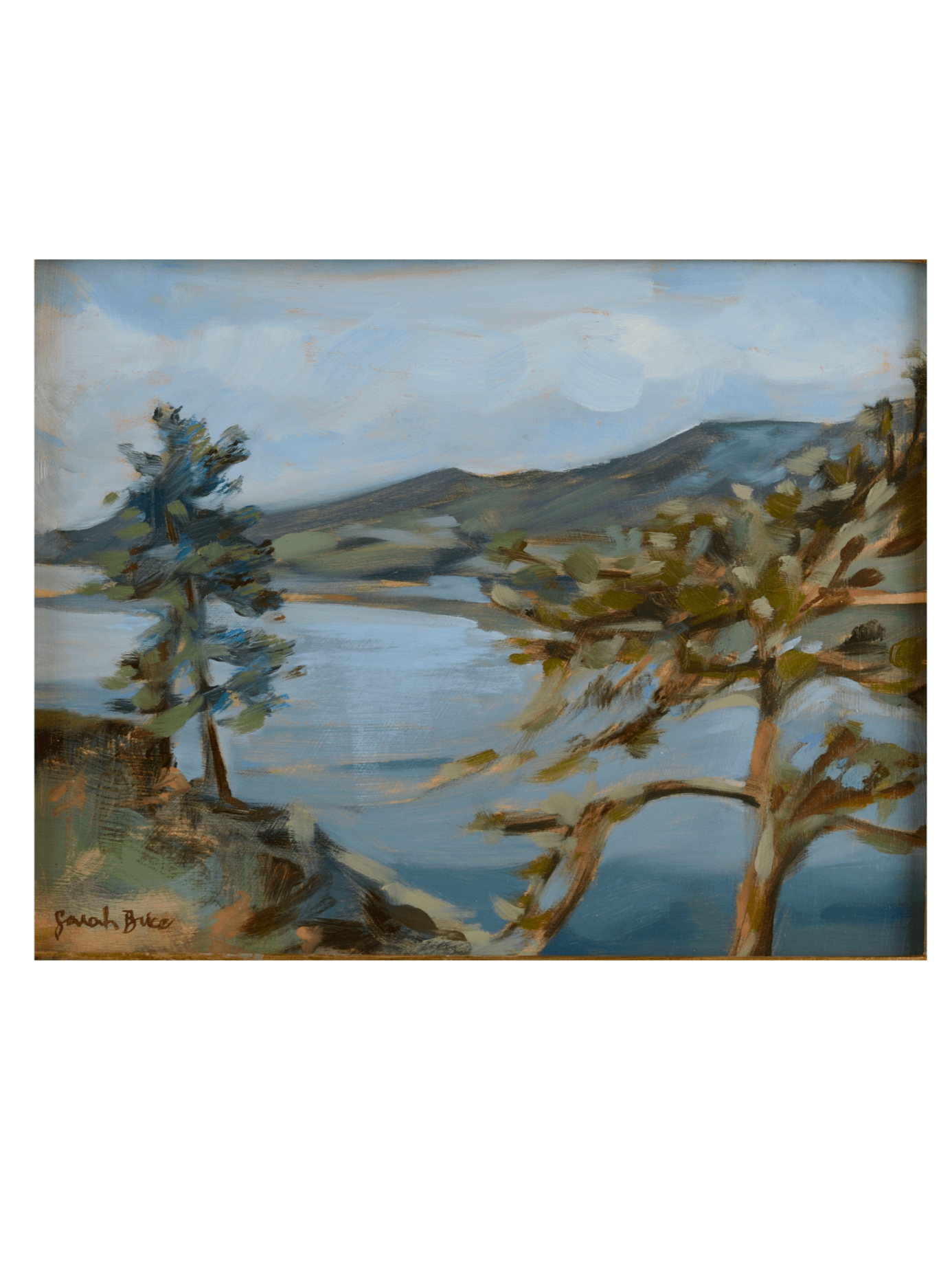 2202606Horsetooth@0.5x.gif