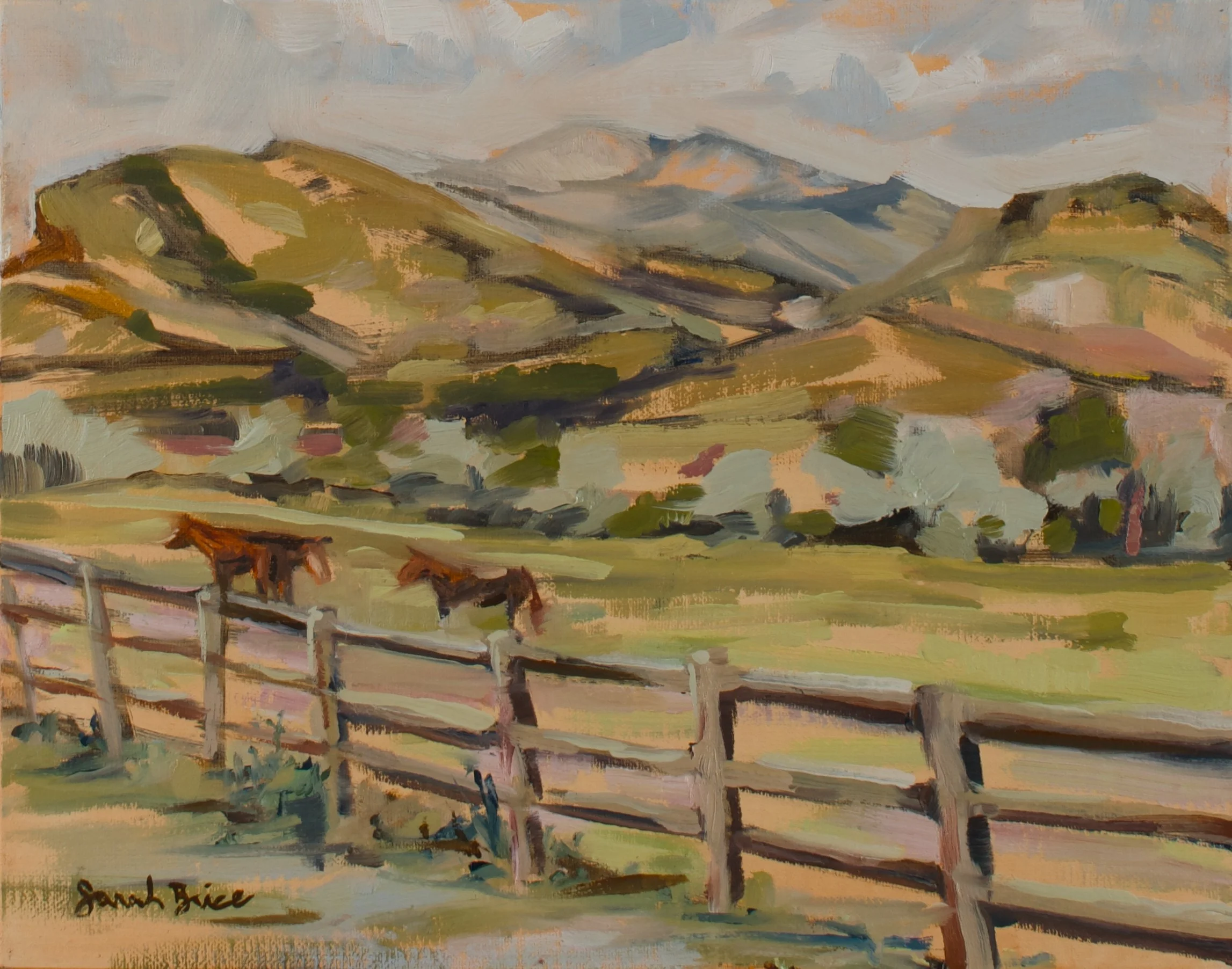 072026HorseField.jpg