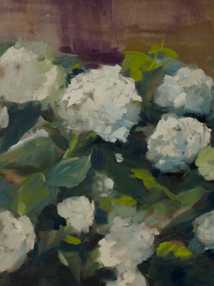 Hydrangeas