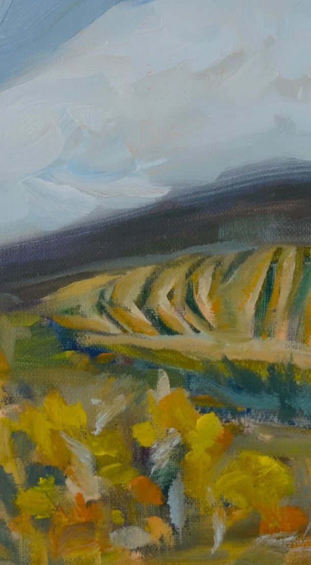 20260923FieldsAbove8x10_PRINT@0.5x.jpg