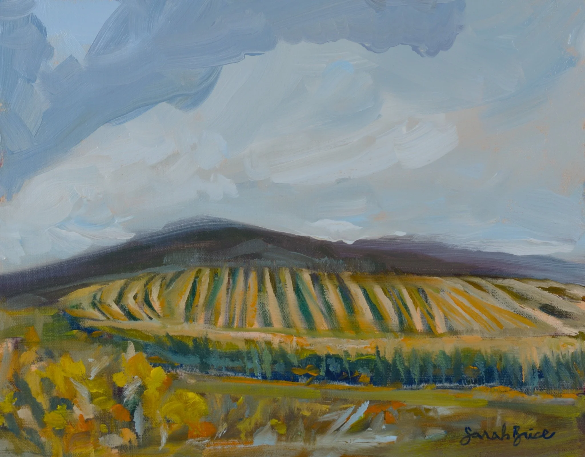 20260923FieldsAbove8x10_PRINT.jpg