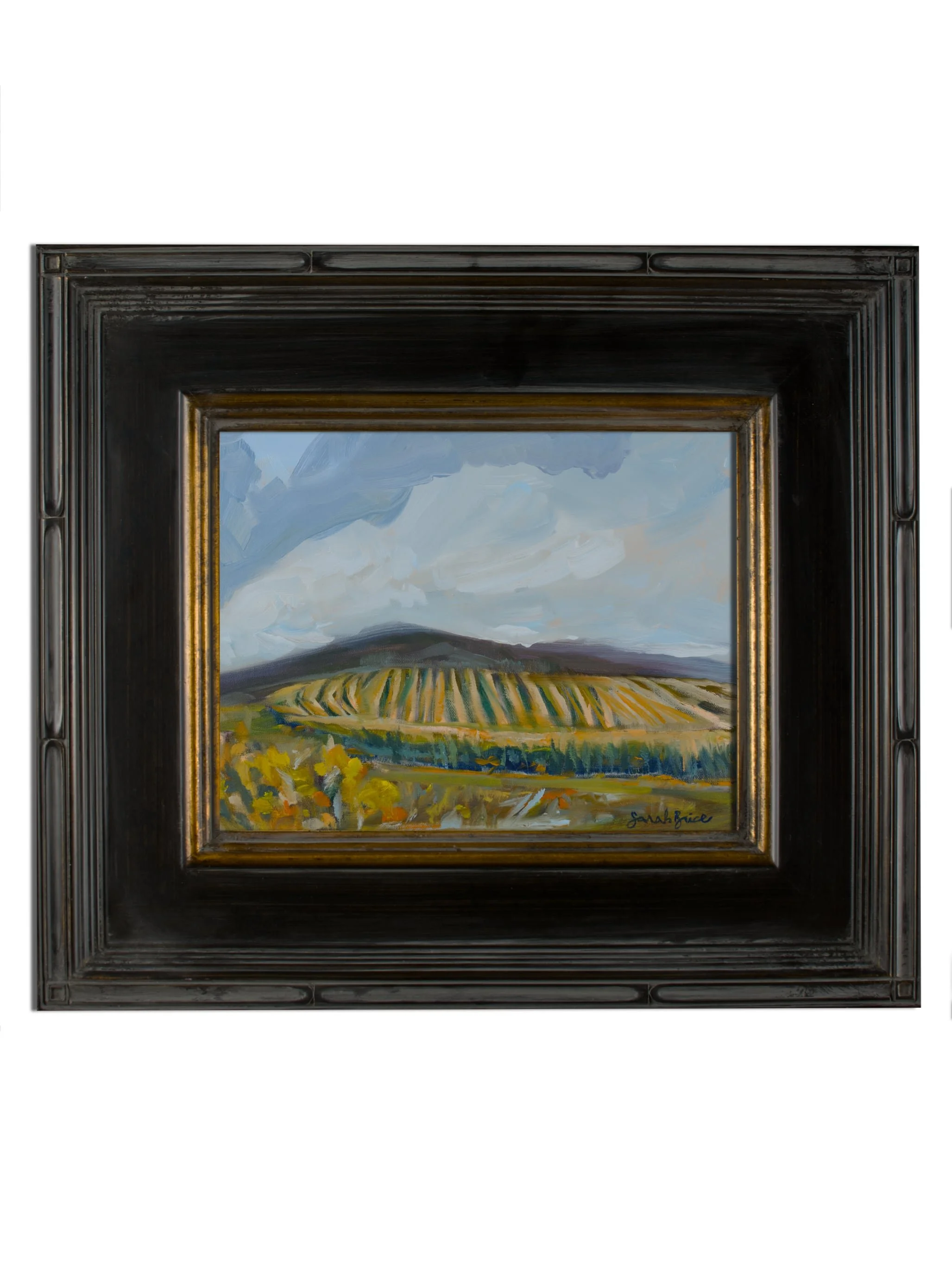 201HorizonalBlackFrame@0.5x.jpg