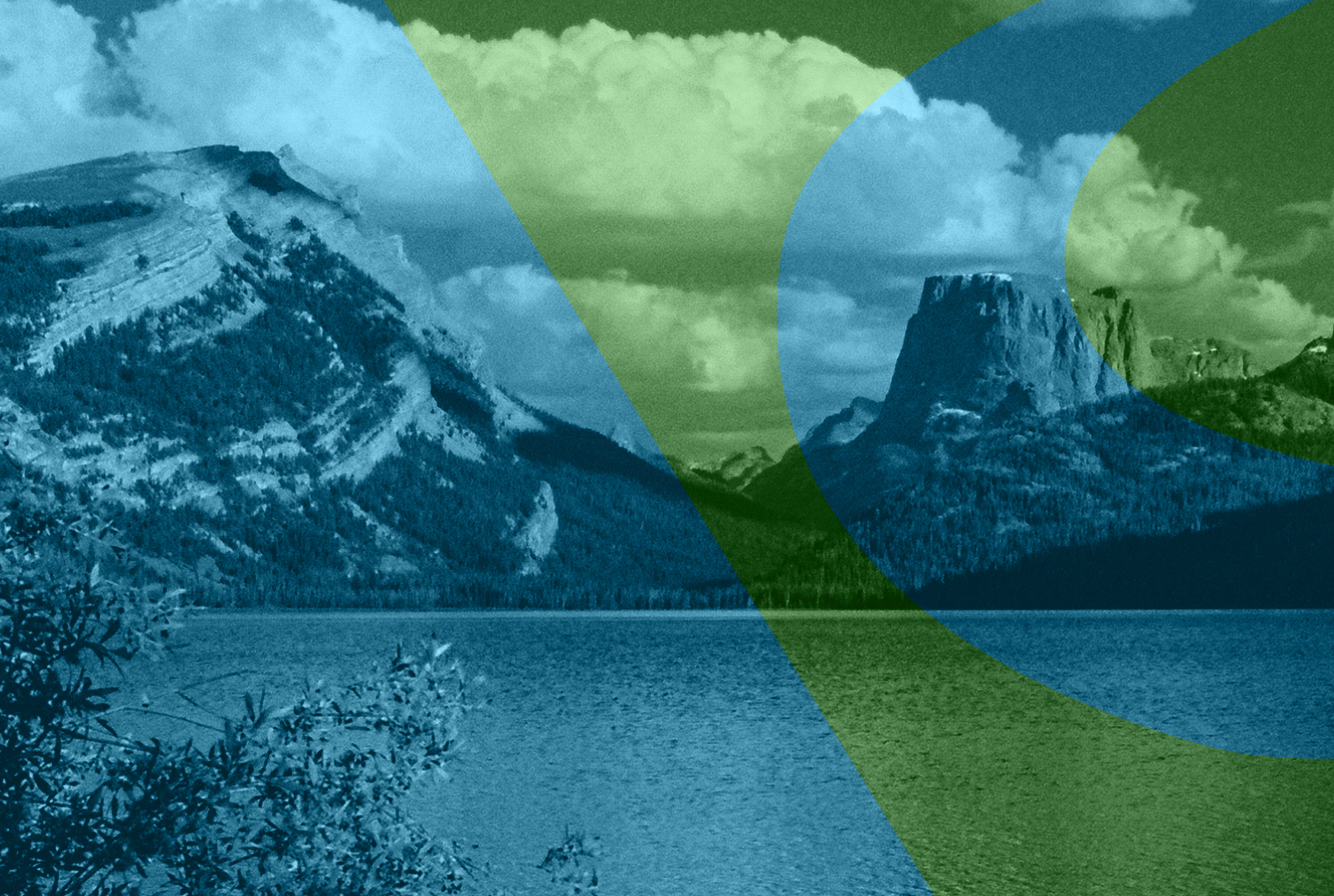 Artboard 1_mobile bg.png