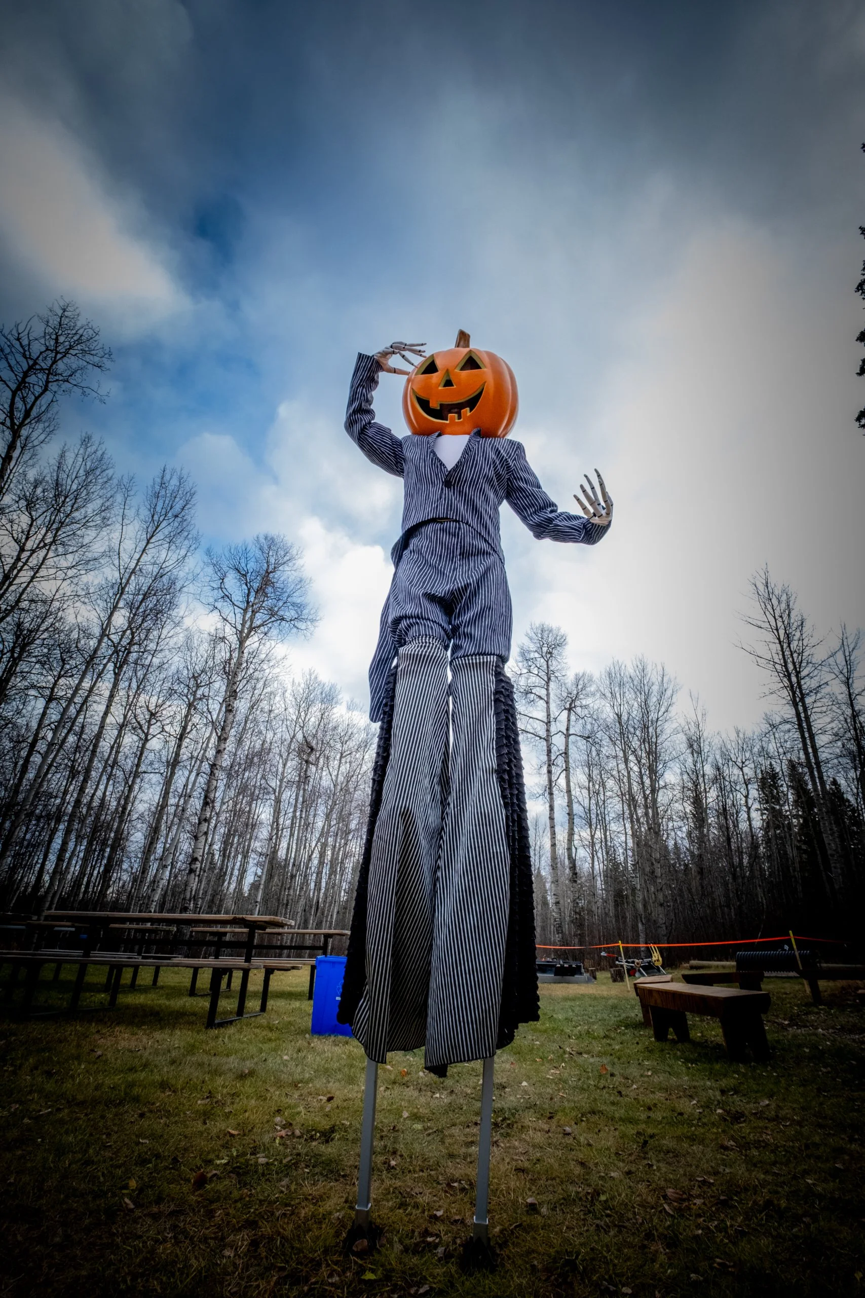 Pumpkin Walk