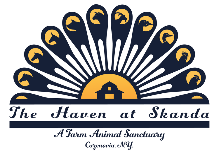 HavenSkandaLogo.webp