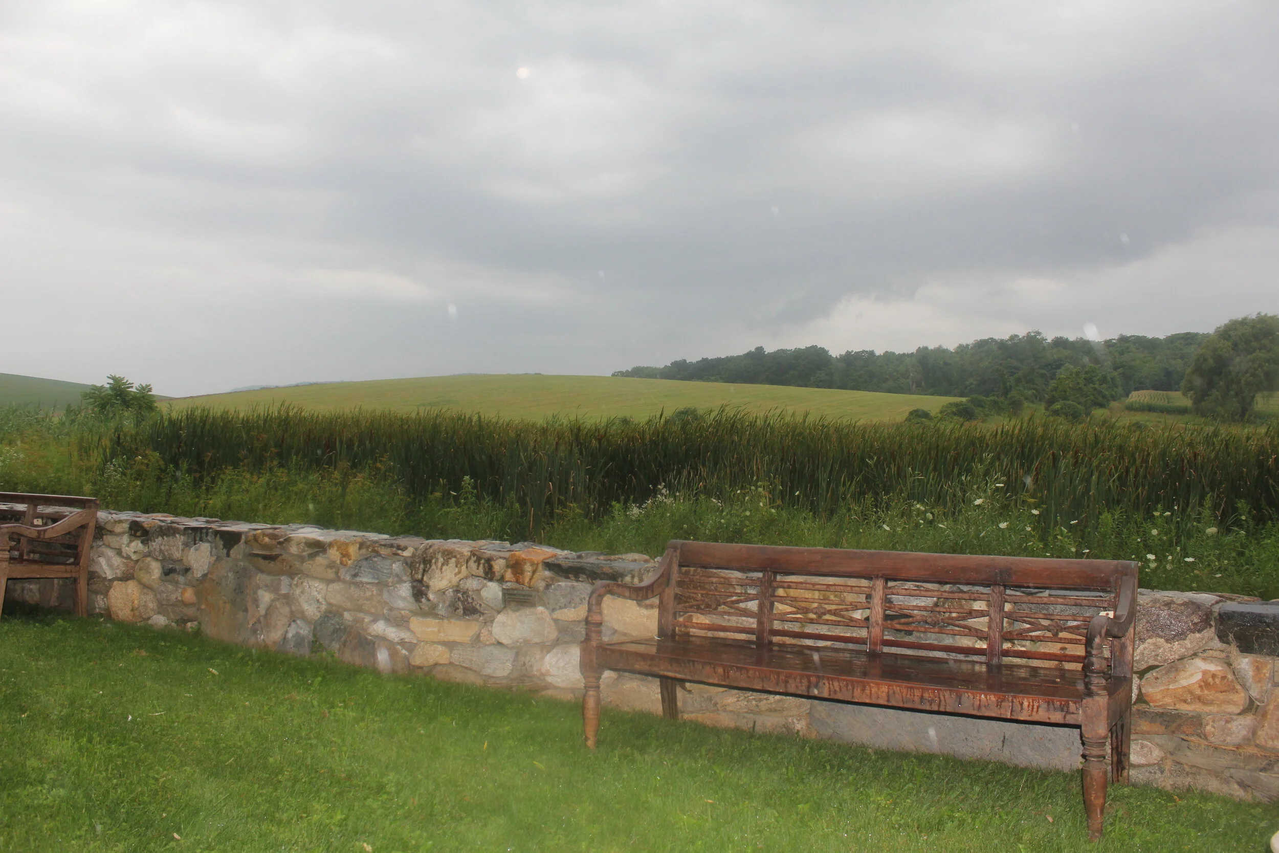 2016 Garden Party - Michael Trapp, Sharon, CT