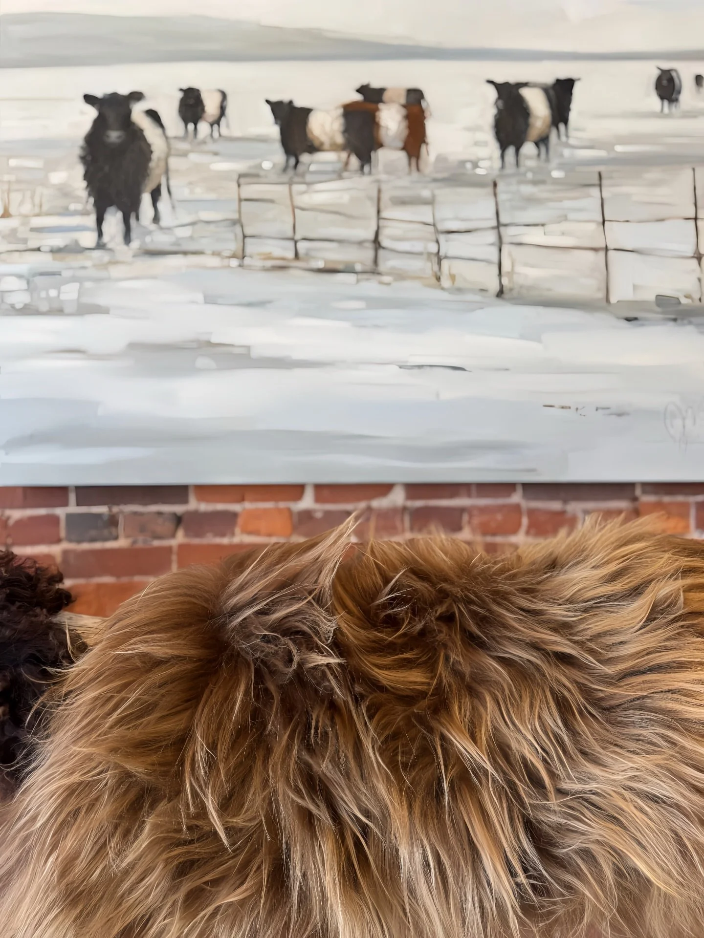 Winter layers at Stellan.
From oil on canvas to Icelandic wool pelts, quiet texture, tone, and warmth.
Soft neutrals, natural forms, and pieces meant to be lived with.

@jill.matthews.paintings &ldquo;Belties&rdquo;