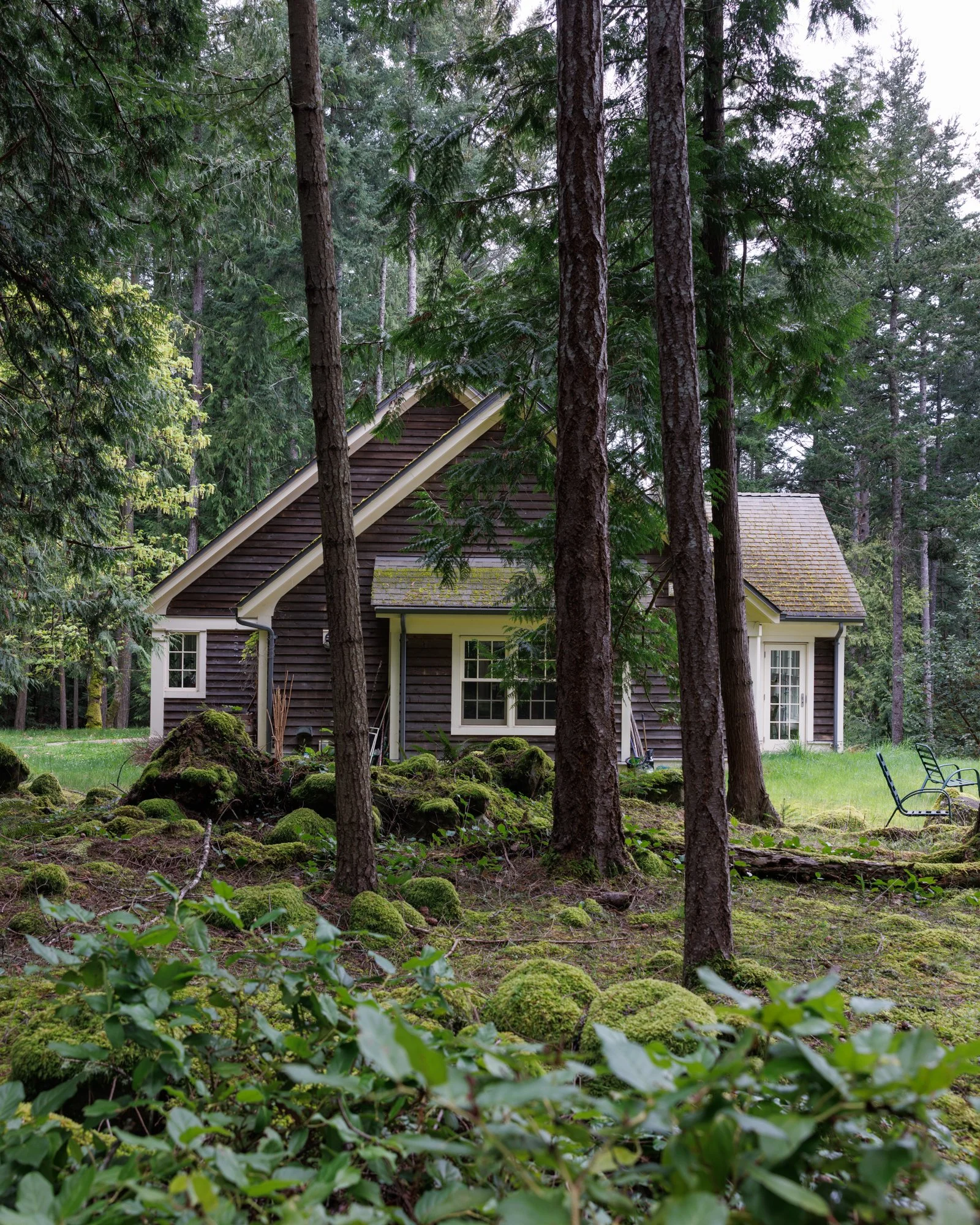 Cedar Hollow