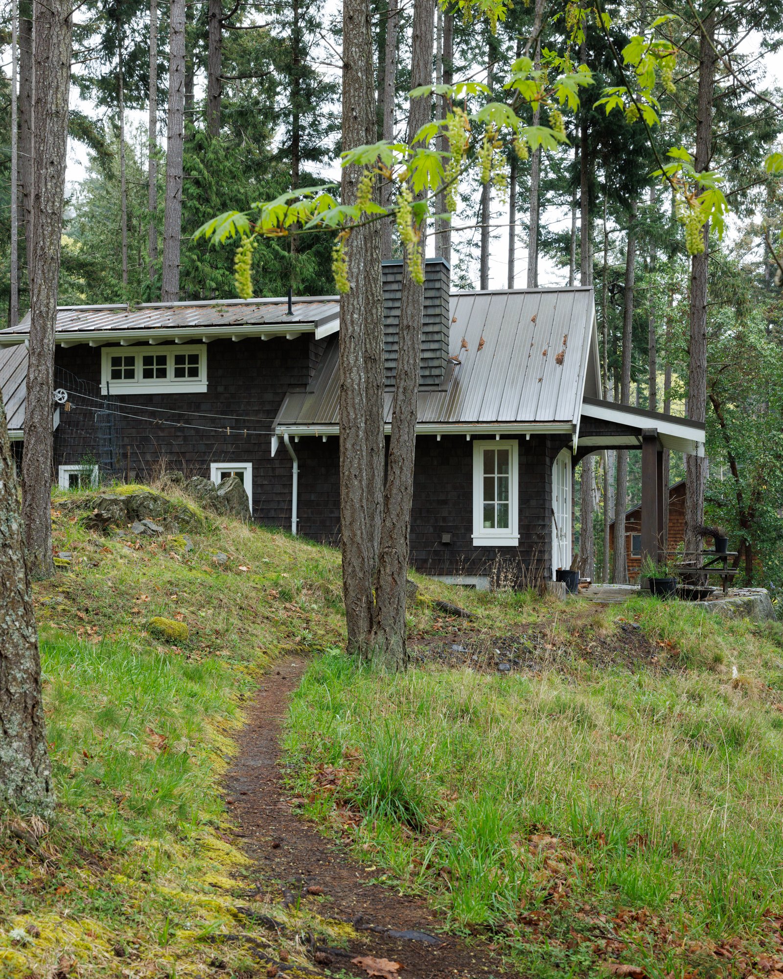 GFVI3965.jpg