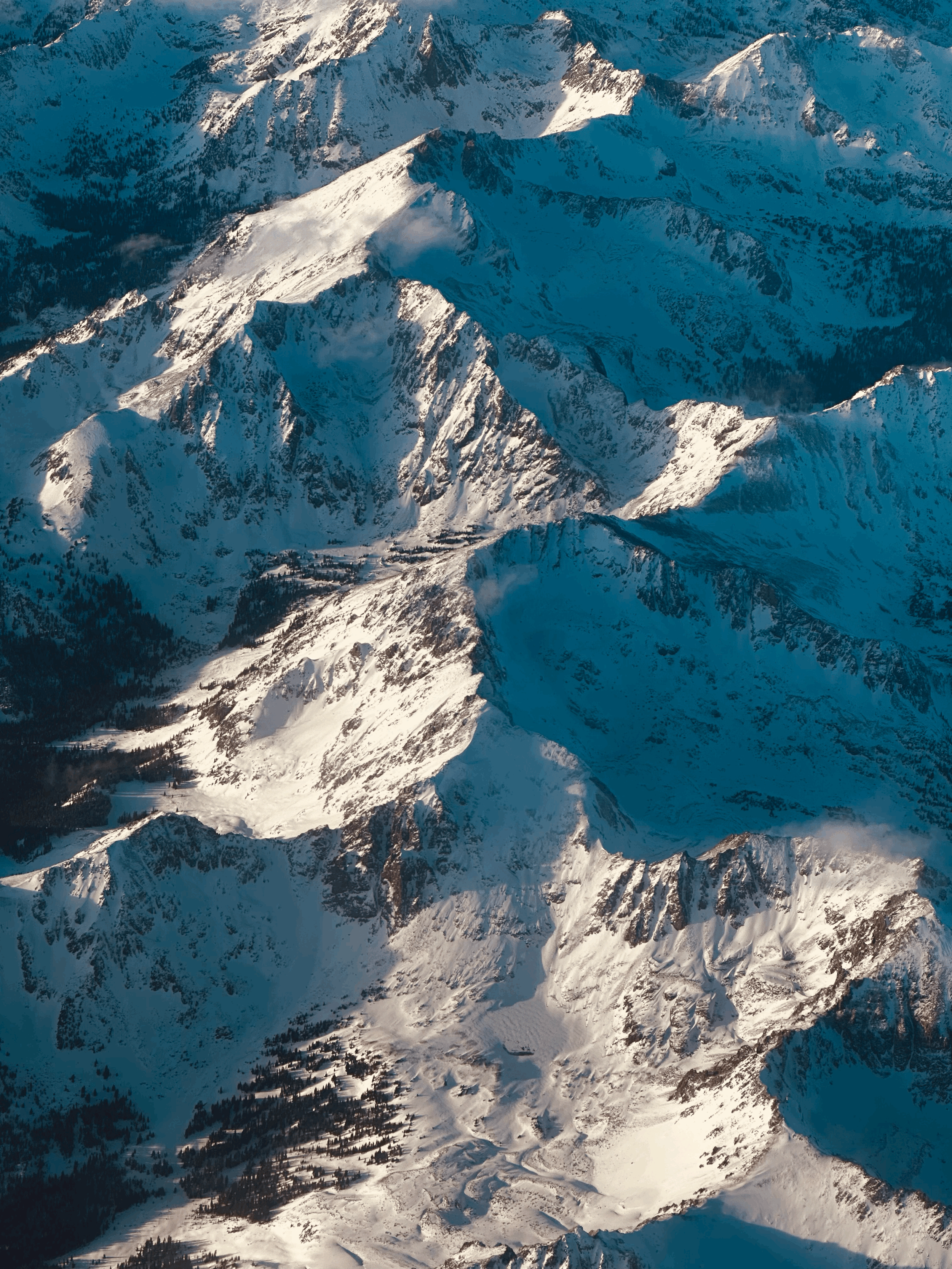 A year of slow, sustainable healing  — New Moon in capricorn