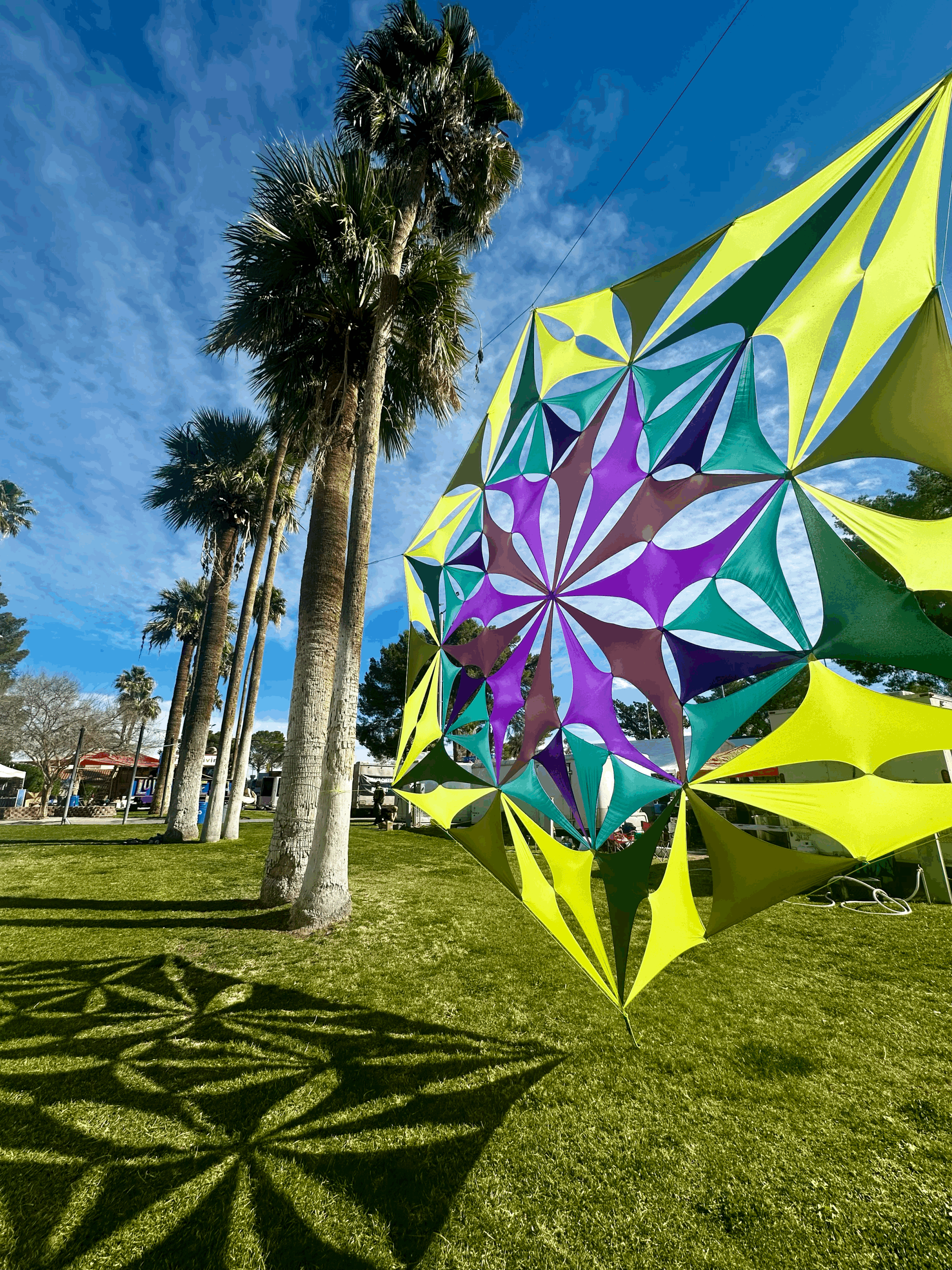 SHEDDING SKIN + LEAPING FORWARD — NEW MOON SOLAR ECLIPSE IN AQUARIUS