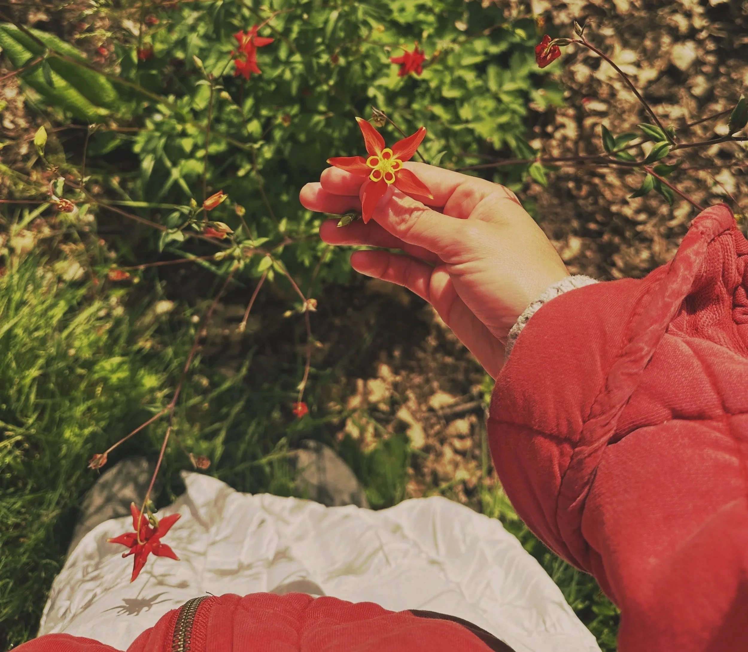 ABUNDANCE + TRANSFORMATION —BELTANE ON THE FULL MOON IN SCORPIO