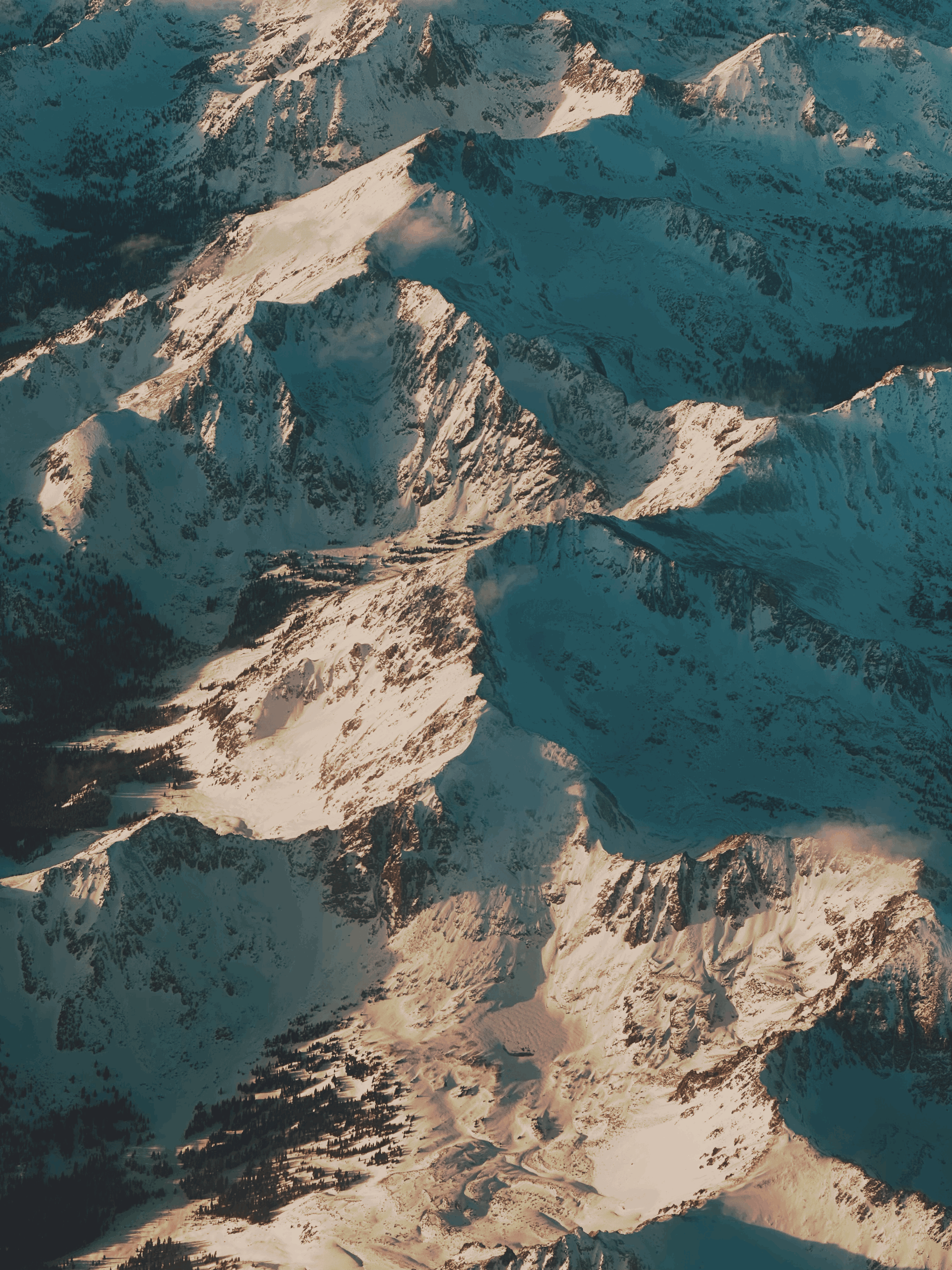 A year of slow, sustainable healing  — New Moon in capricorn