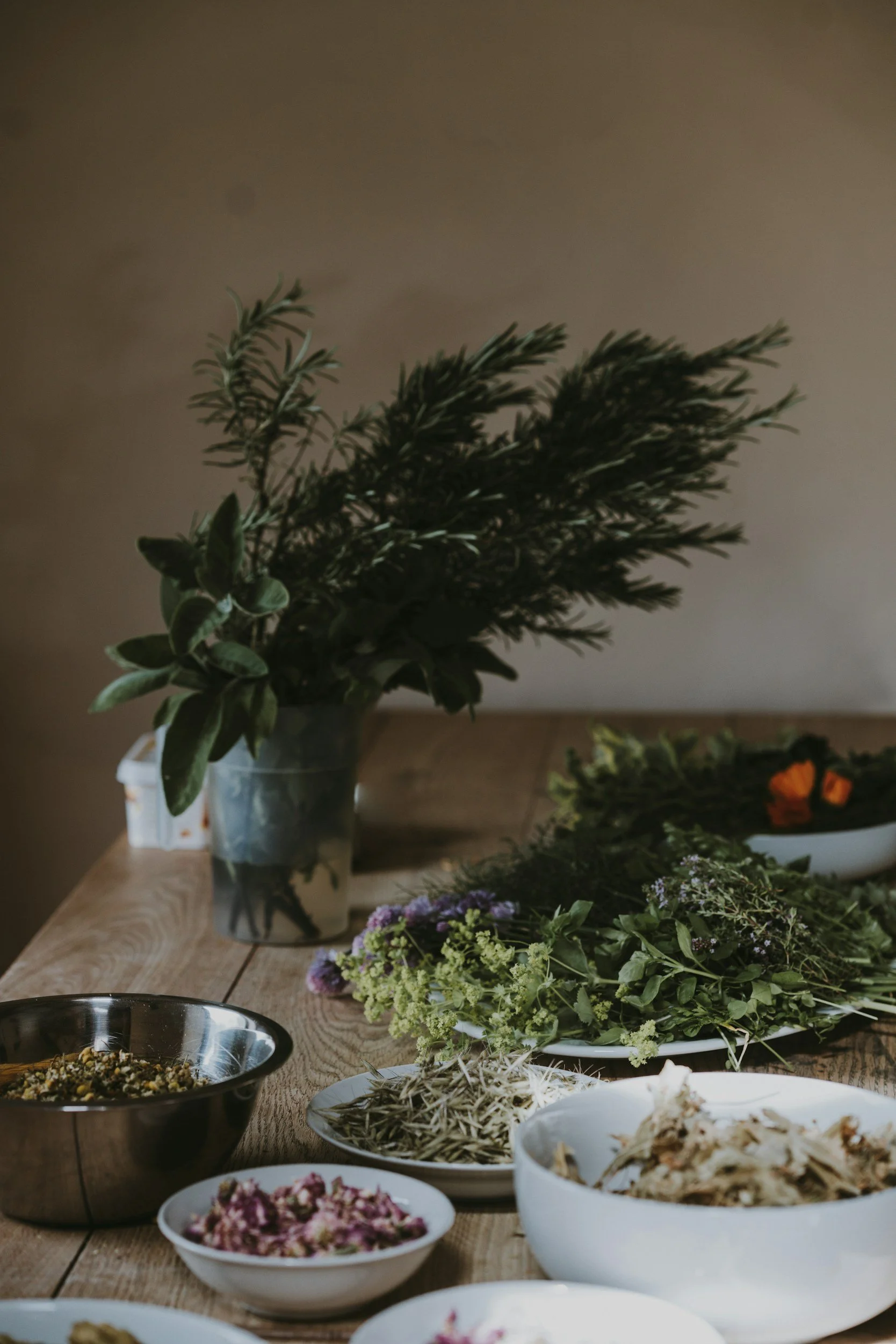 Harvest of root vegetables and fresh herbs