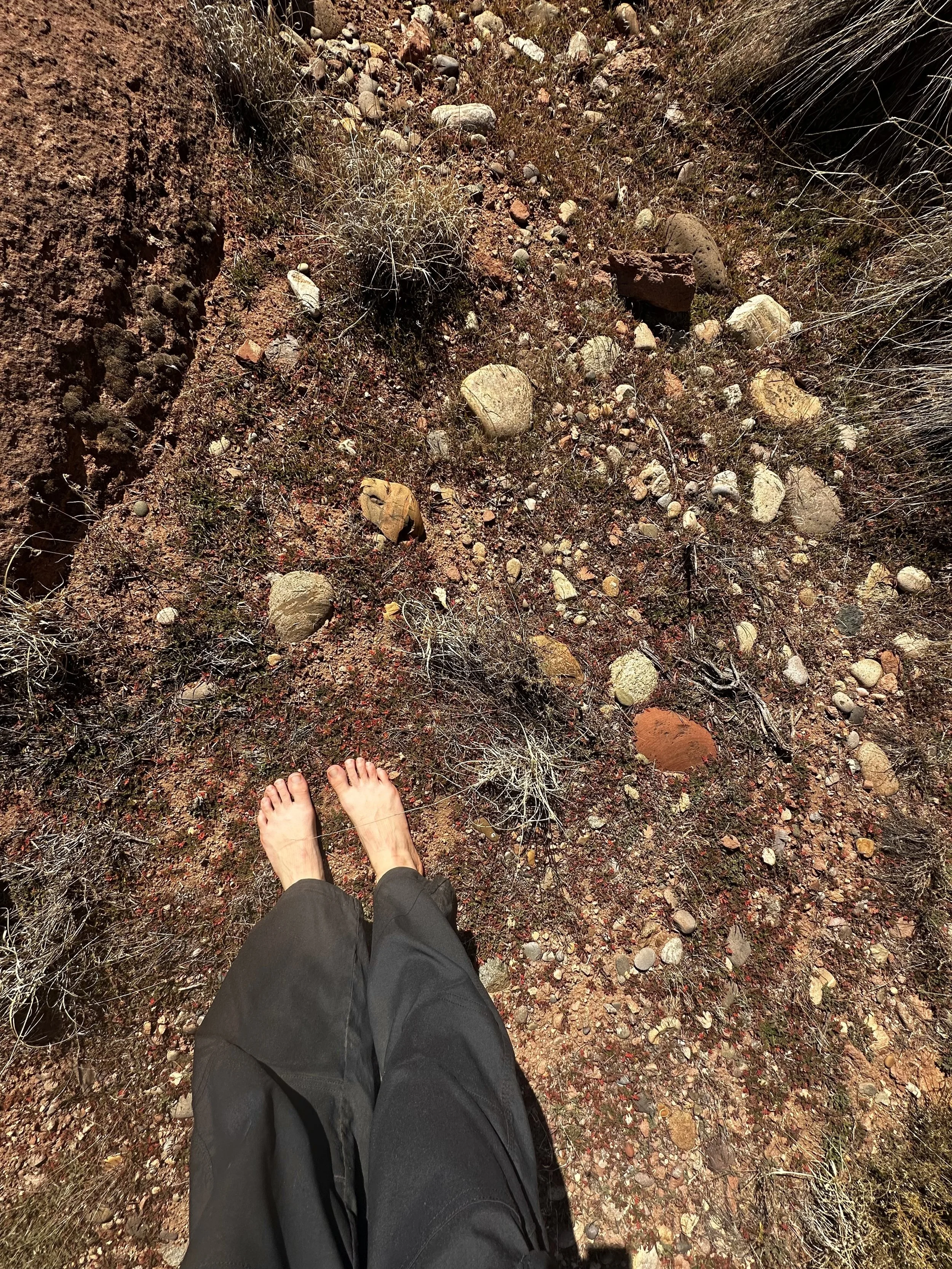 Bare feet on the earth, grounding and reconnecting with nature to support nervous system regulation and wellbeing