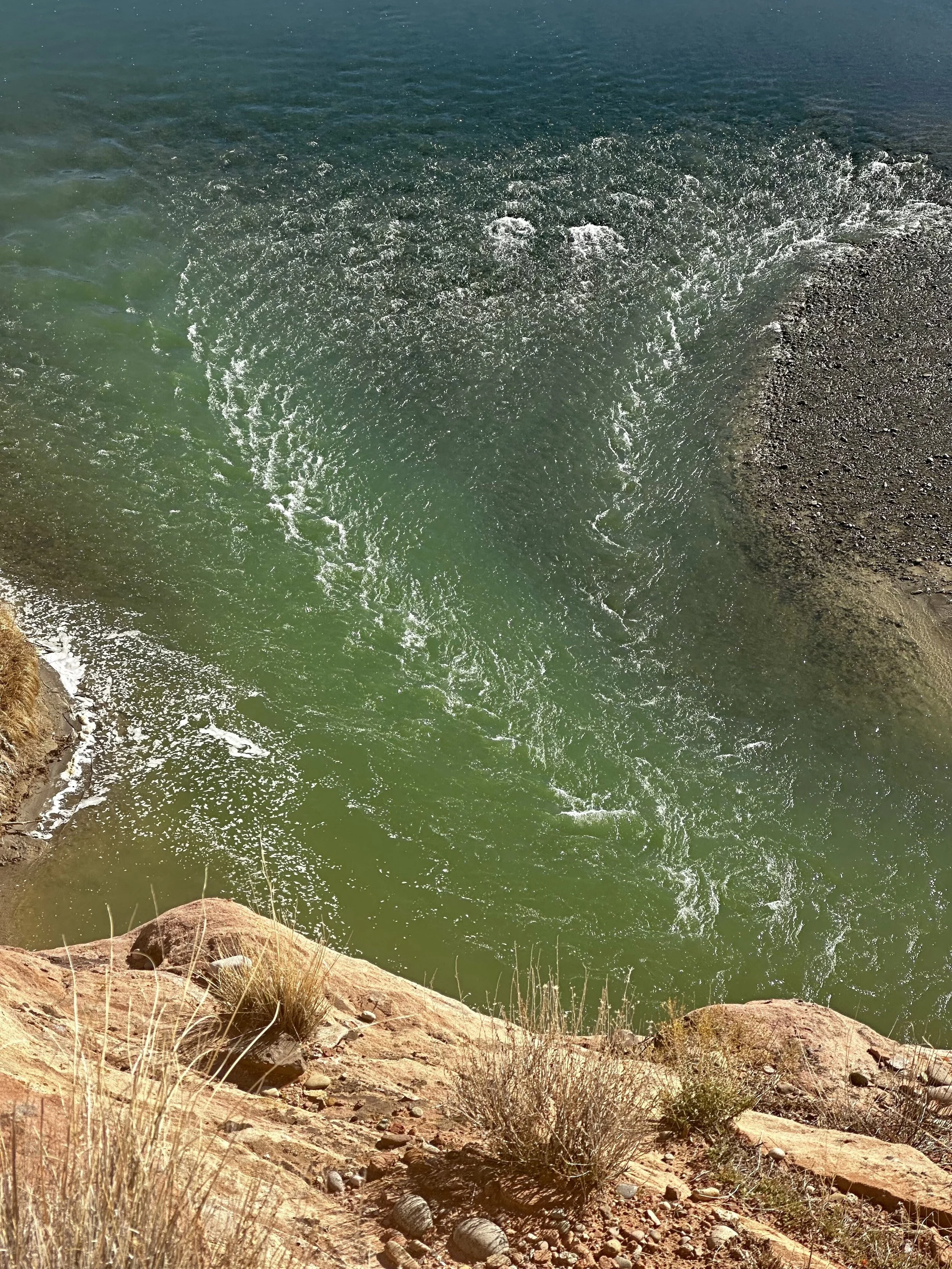 Sunlight and nature supporting seasonal wellness, grounding, and nervous system health during winter