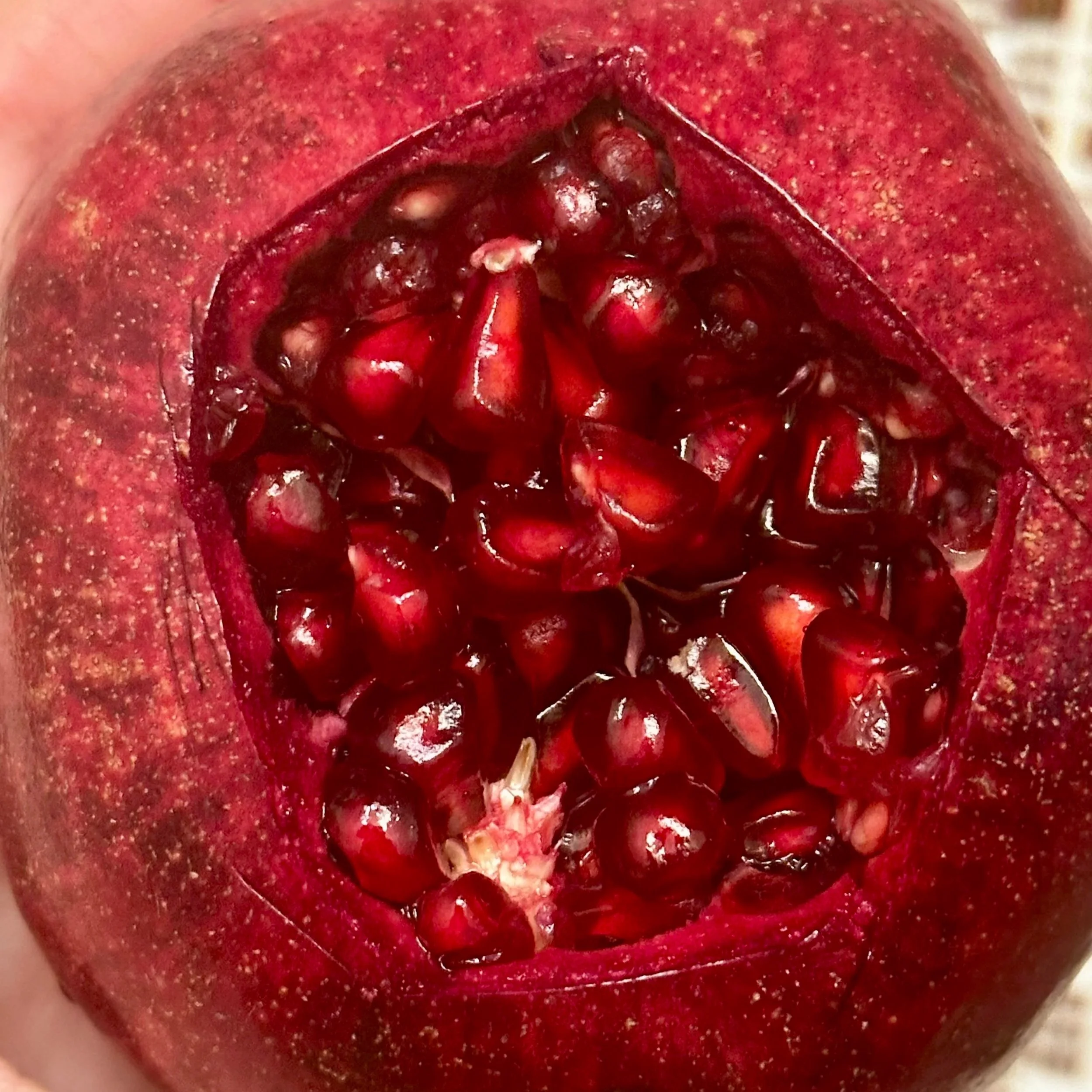 Fresh pomegranate representing seasonal fruit, antioxidants, and nourishment for women’s hormonal health